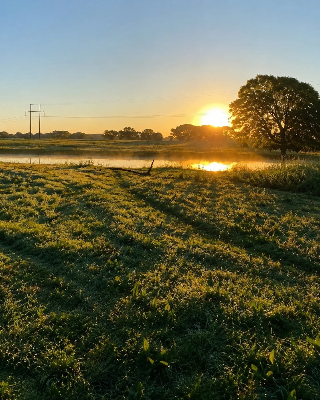 Look at this View of the Pond