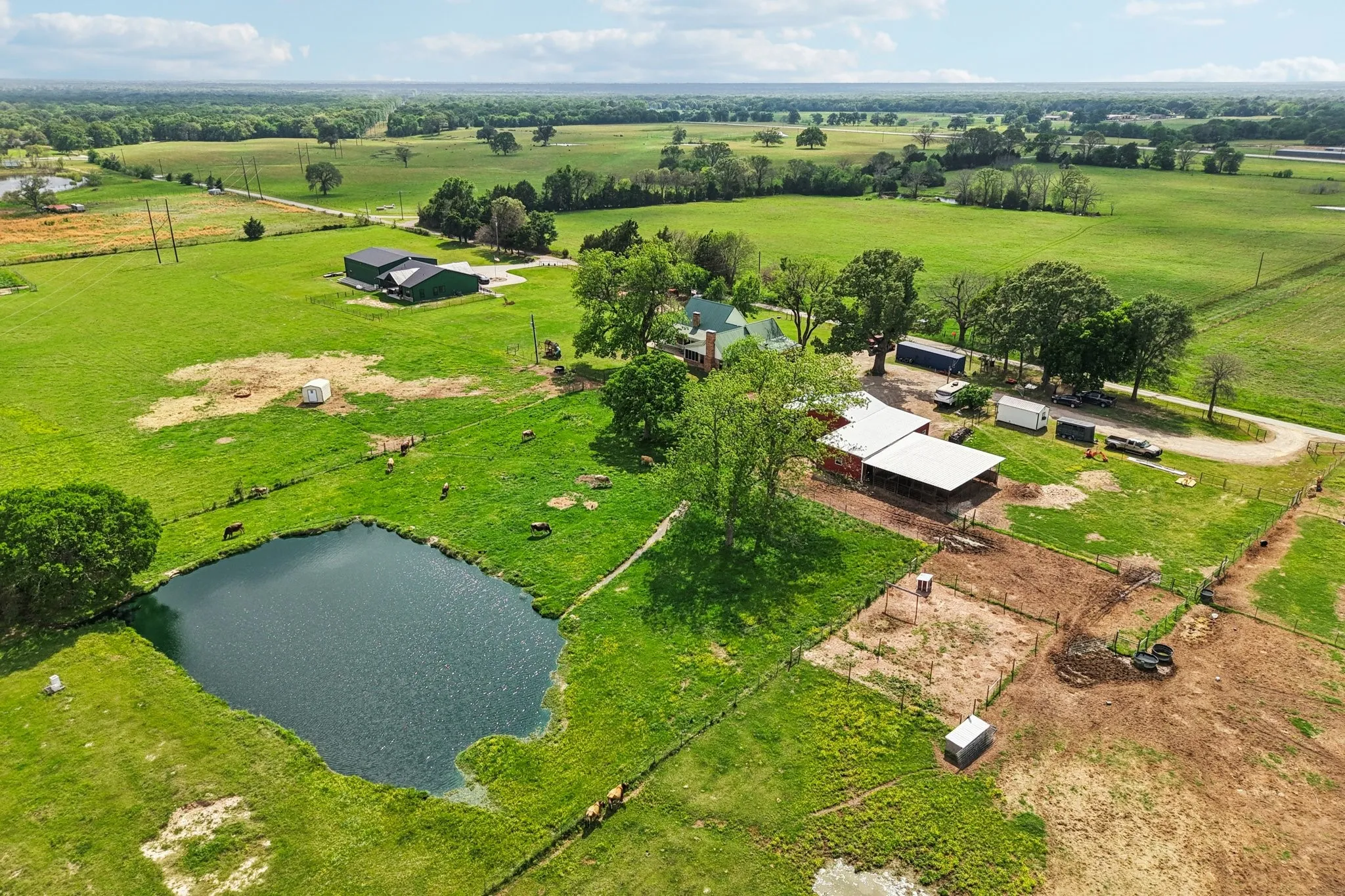 View of Pond