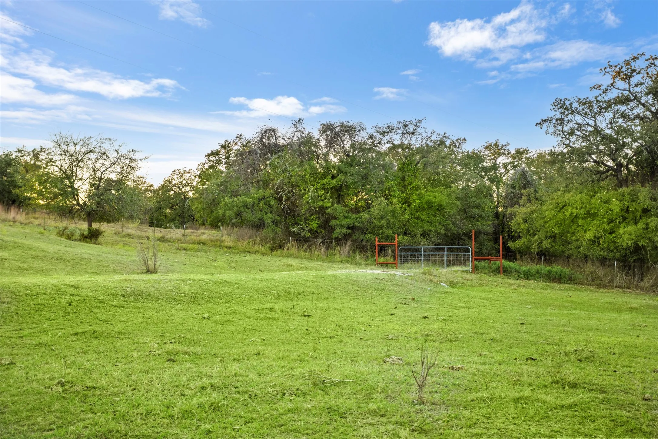 Expansive green space featuring a metal gate entrance, perimeter fencing, and mature trees defining the property lines