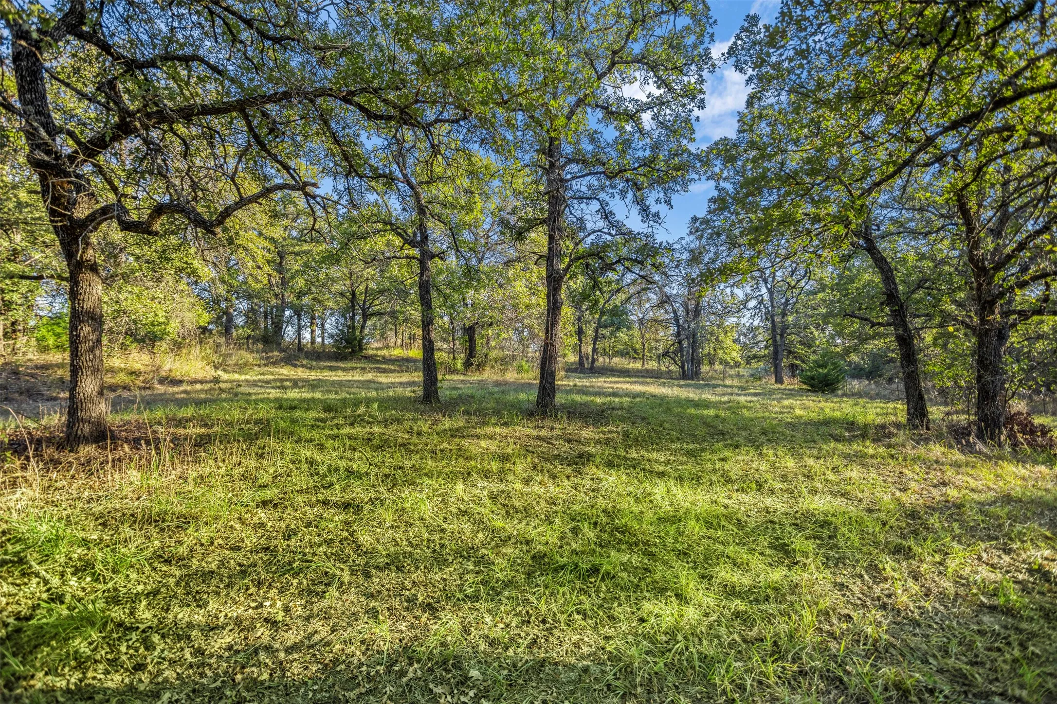 Ranch For Sale in Wise County , 199 Cheyenne Trail, Springtown, Texas 76082, 0, 0, Garage spaces, 0 Sqft, built in 0, Price $315,000, mls#21324050, Real Estate Agent in Springtown, Homes For Sale in Wise county, Homes For Sale in Springtown, Realtor in Springtown Texas, Real Estate Brokerage Independent Realty Texas, Luminita Cordes Realtor