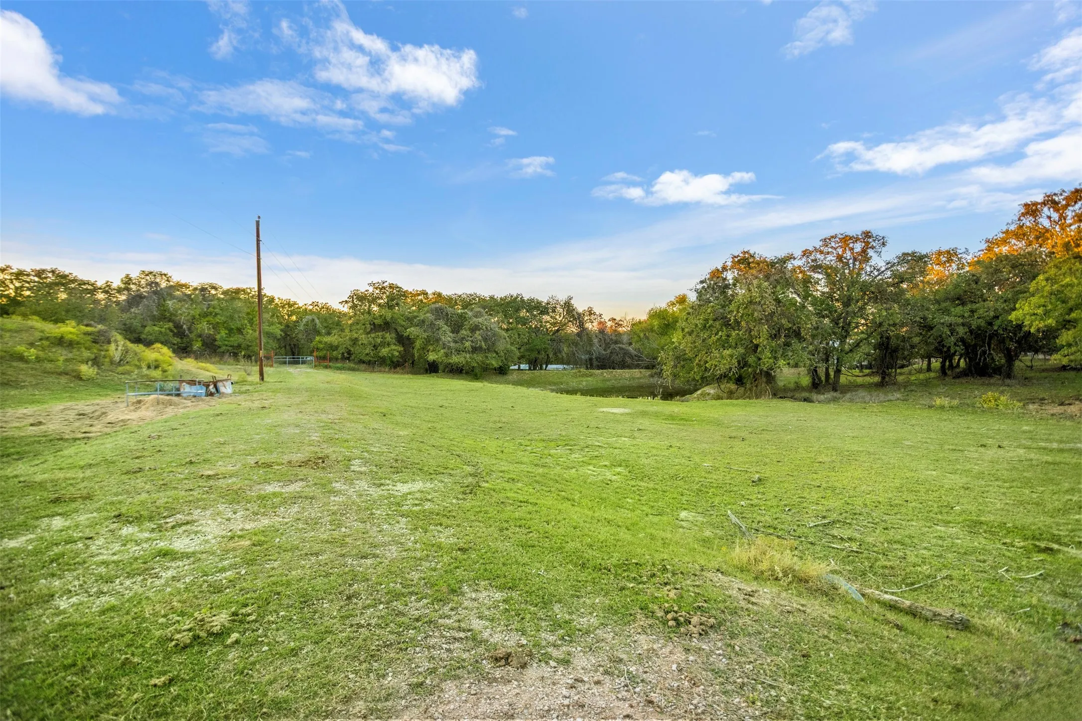 Expansive grassy field bordered by mature trees and natural foliage