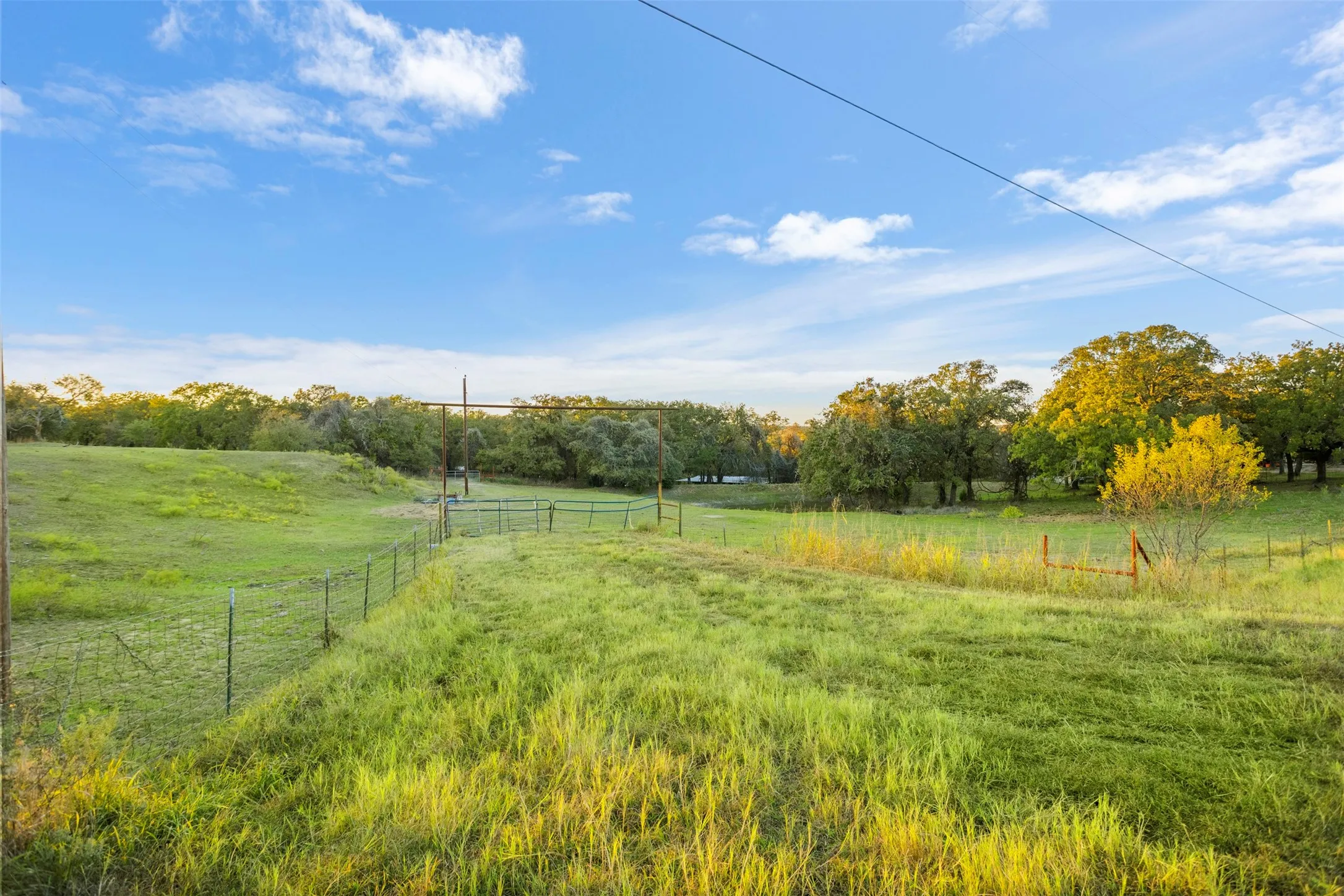 Expansive green space featuring natural vegetation, mature trees, and wire fencing