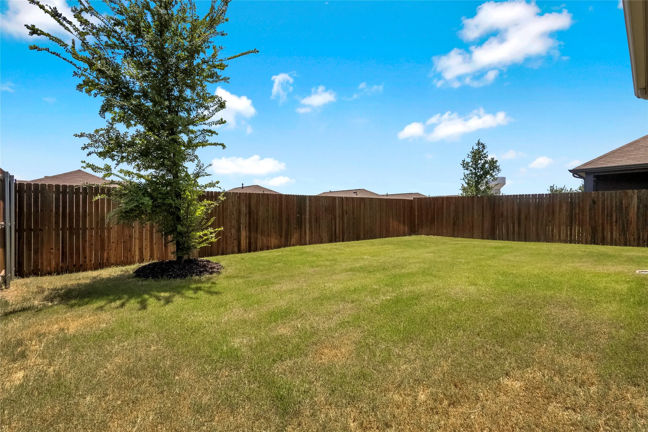 Large backyard!