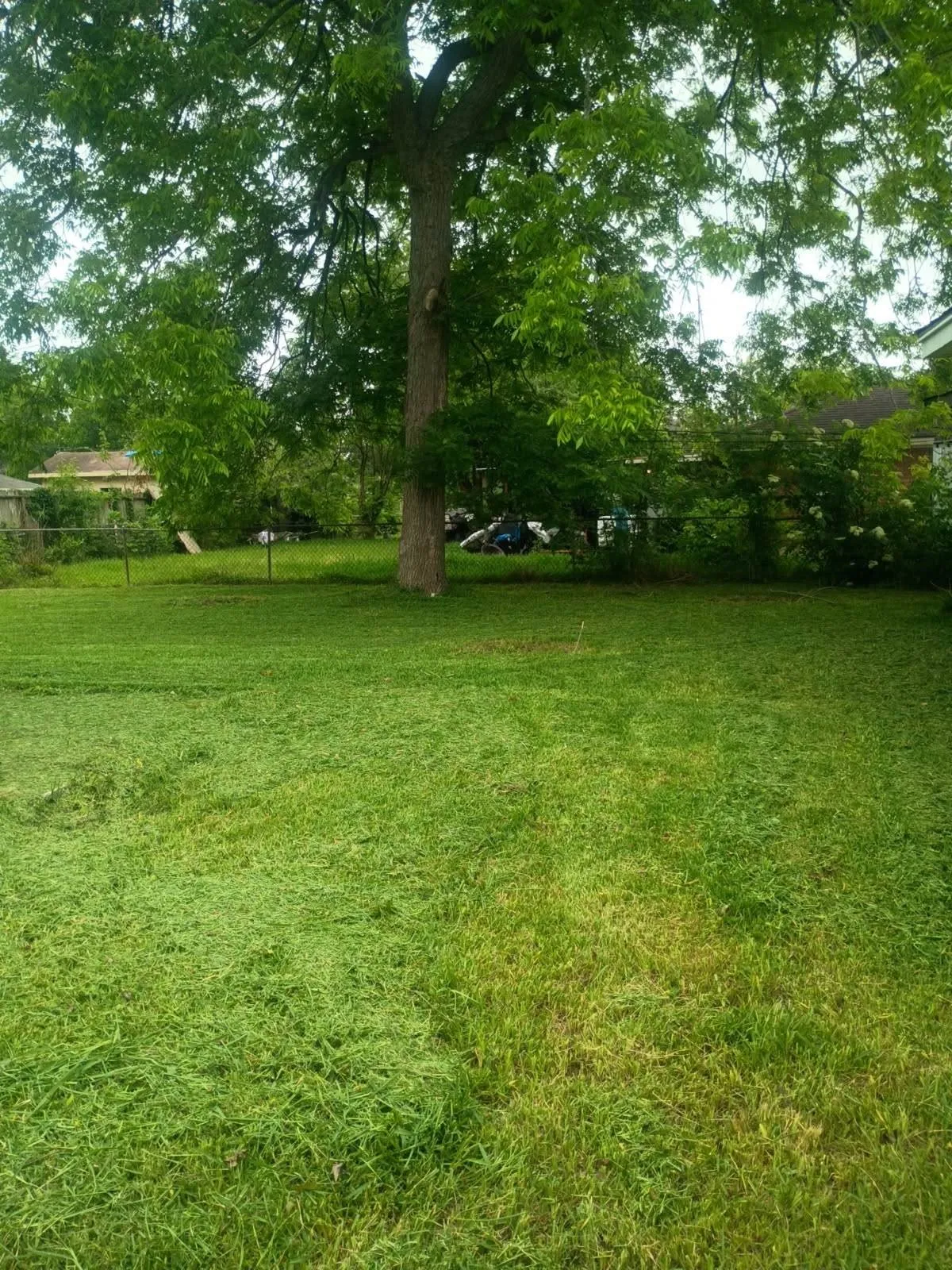 Unimproved Land For Sale in Harris County , 4602 Farmer Street, Houston, Texas 77020, 0, 0, Garage spaces, 0 Sqft, built in 1936, mls#21324278, Real Estate Agent in Houston, Homes For Sale in Harris county, Homes For Sale in Houston, Realtor in Houston Texas, Real Estate Brokerage Independent Realty Texas, Luminita Cordes Realtor