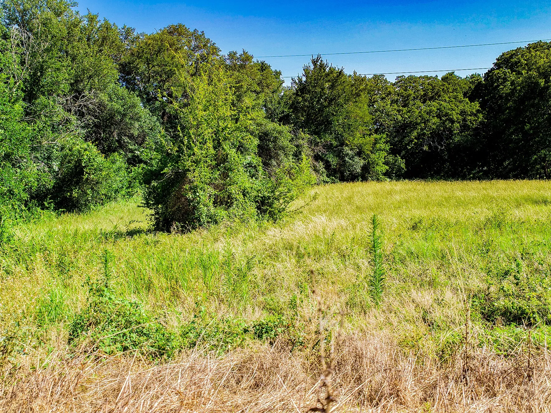 Unimproved Land For Sale in Comanche County , TBD Hwy 36, Gustine, Texas 76455, 0, 0, Garage spaces, 0 Sqft, built in 0, mls#21324308, Real Estate Agent in Gustine, Homes For Sale in Comanche county, Homes For Sale in Gustine, Realtor in Gustine Texas, Real Estate Brokerage Independent Realty Texas, Luminita Cordes Realtor