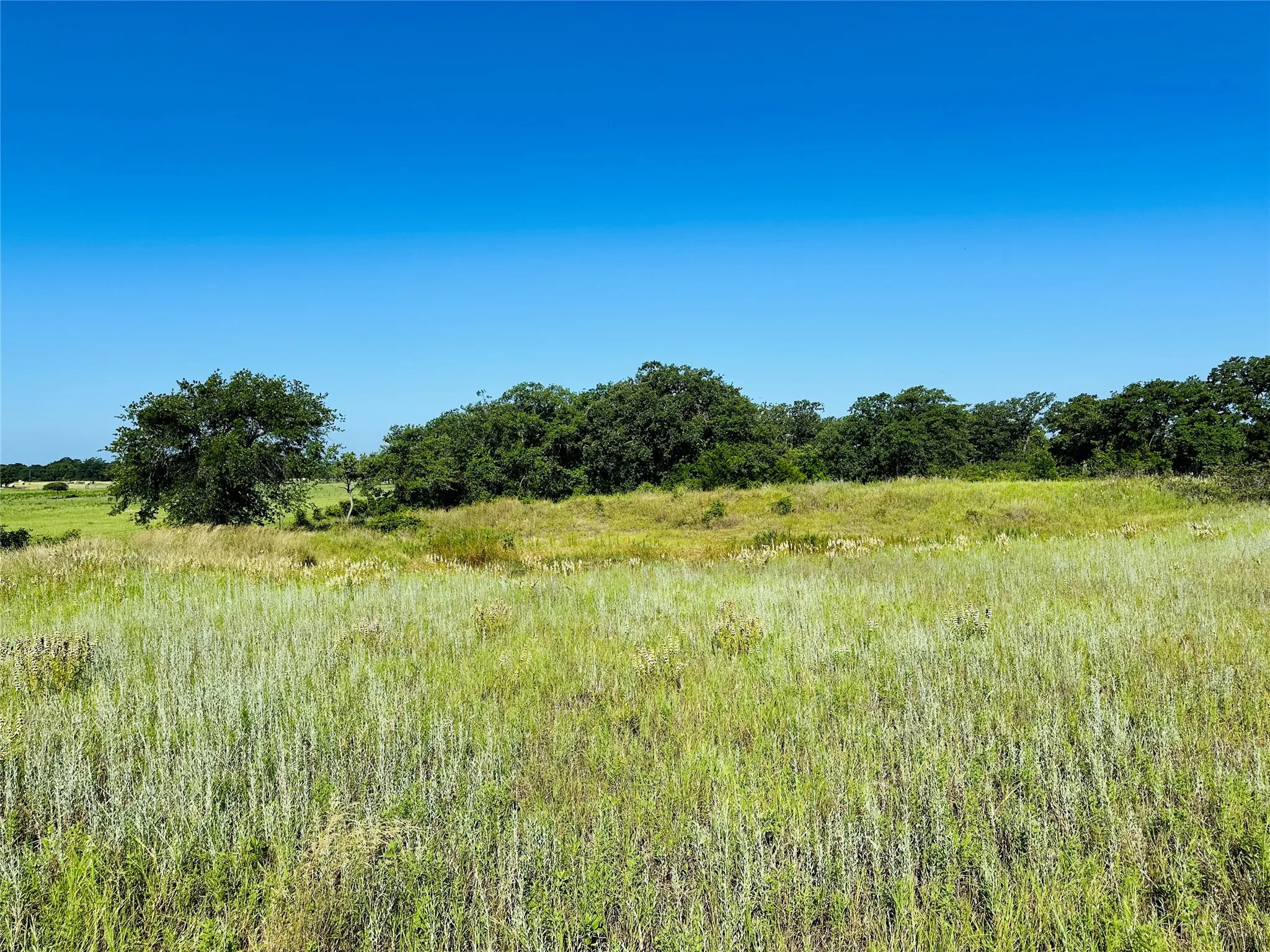 Improved Land For Sale in Callahan County , 12817 State Highway 36 E, Cross Plains, Texas 76443, 0, 0, Garage spaces, 0 Sqft, built in 2025, mls#21322830, Real Estate Agent in Cross Plains, Homes For Sale in Callahan county, Homes For Sale in Cross Plains, Realtor in Cross Plains Texas, Real Estate Brokerage Independent Realty Texas, Luminita Cordes Realtor