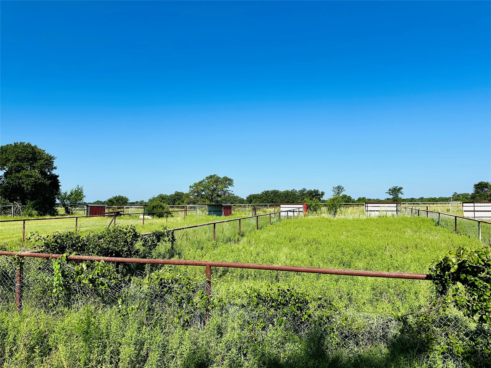 Improved Land For Sale in Callahan County , 12817 State Highway 36 E, Cross Plains, Texas 76443, 0, 0, Garage spaces, 0 Sqft, built in 2025, mls#21322830, Real Estate Agent in Cross Plains, Homes For Sale in Callahan county, Homes For Sale in Cross Plains, Realtor in Cross Plains Texas, Real Estate Brokerage Independent Realty Texas, Luminita Cordes Realtor