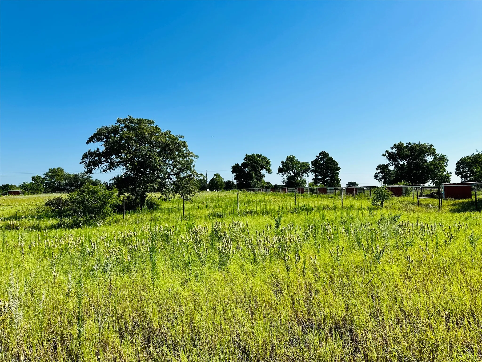 Improved Land For Sale in Callahan County , 12817 State Highway 36 E, Cross Plains, Texas 76443, 0, 0, Garage spaces, 0 Sqft, built in 2025, mls#21322830, Real Estate Agent in Cross Plains, Homes For Sale in Callahan county, Homes For Sale in Cross Plains, Realtor in Cross Plains Texas, Real Estate Brokerage Independent Realty Texas, Luminita Cordes Realtor