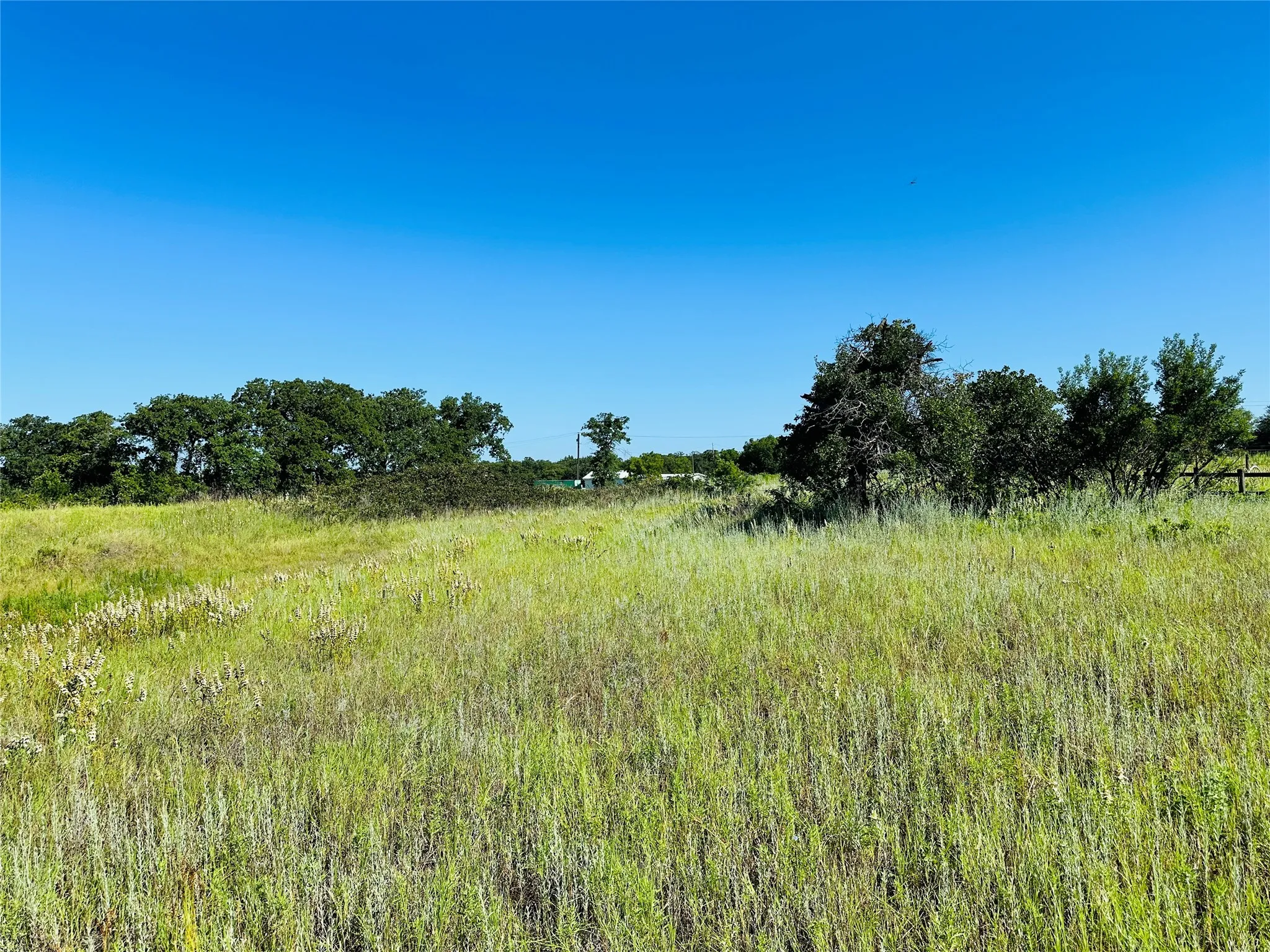 Improved Land For Sale in Callahan County , 12817 State Highway 36 E, Cross Plains, Texas 76443, 0, 0, Garage spaces, 0 Sqft, built in 2025, mls#21322830, Real Estate Agent in Cross Plains, Homes For Sale in Callahan county, Homes For Sale in Cross Plains, Realtor in Cross Plains Texas, Real Estate Brokerage Independent Realty Texas, Luminita Cordes Realtor