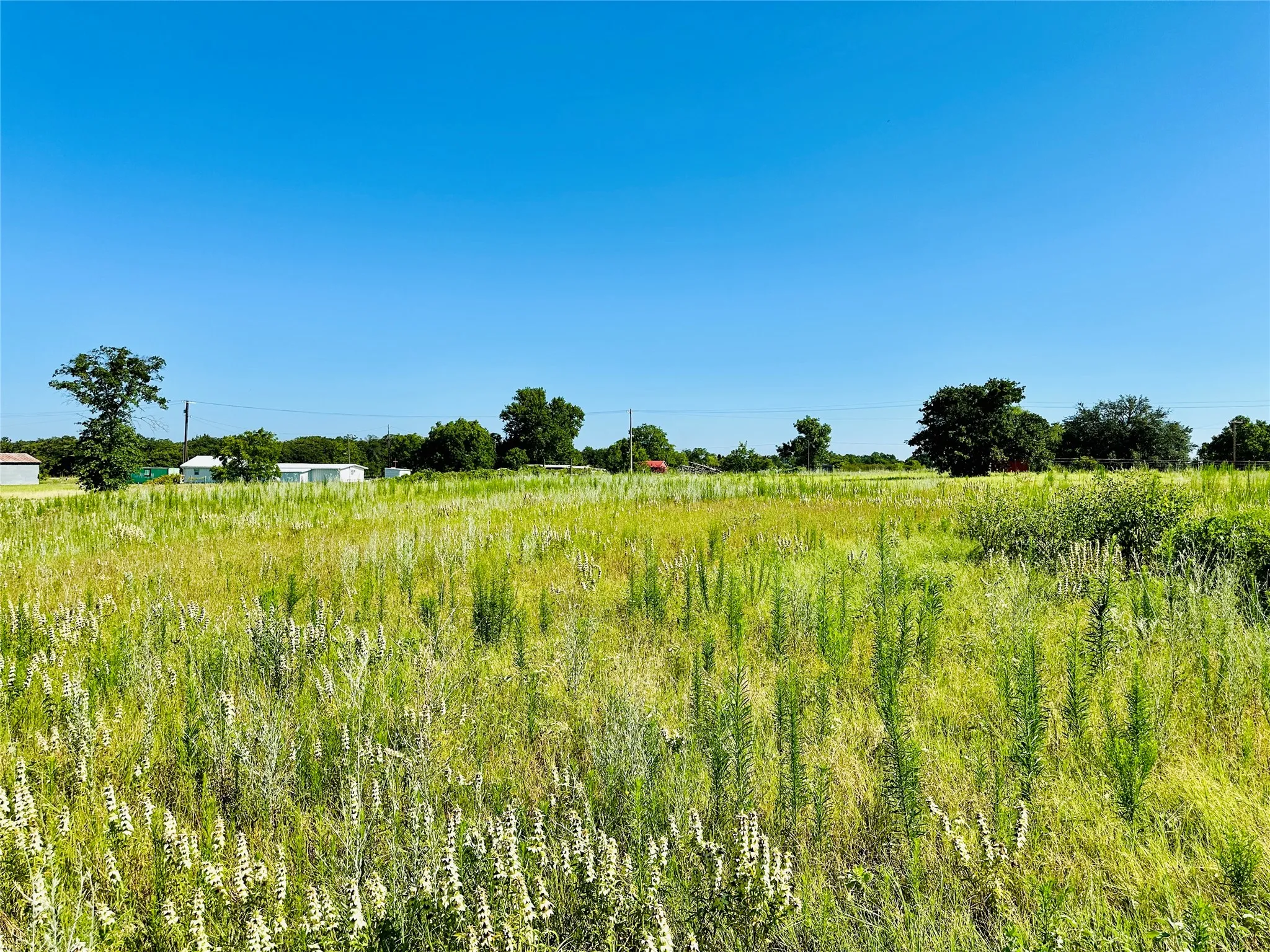 Improved Land For Sale in Callahan County , 12817 State Highway 36 E, Cross Plains, Texas 76443, 0, 0, Garage spaces, 0 Sqft, built in 2025, mls#21322830, Real Estate Agent in Cross Plains, Homes For Sale in Callahan county, Homes For Sale in Cross Plains, Realtor in Cross Plains Texas, Real Estate Brokerage Independent Realty Texas, Luminita Cordes Realtor