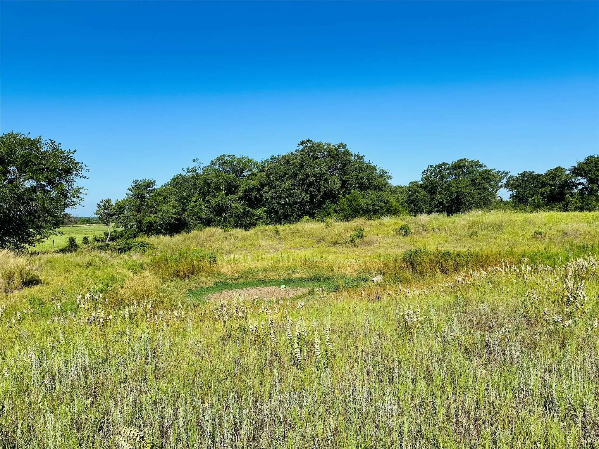 Improved Land For Sale in Callahan County , 12817 State Highway 36 E, Cross Plains, Texas 76443, 0, 0, Garage spaces, 0 Sqft, built in 2025, mls#21322830, Real Estate Agent in Cross Plains, Homes For Sale in Callahan county, Homes For Sale in Cross Plains, Realtor in Cross Plains Texas, Real Estate Brokerage Independent Realty Texas, Luminita Cordes Realtor