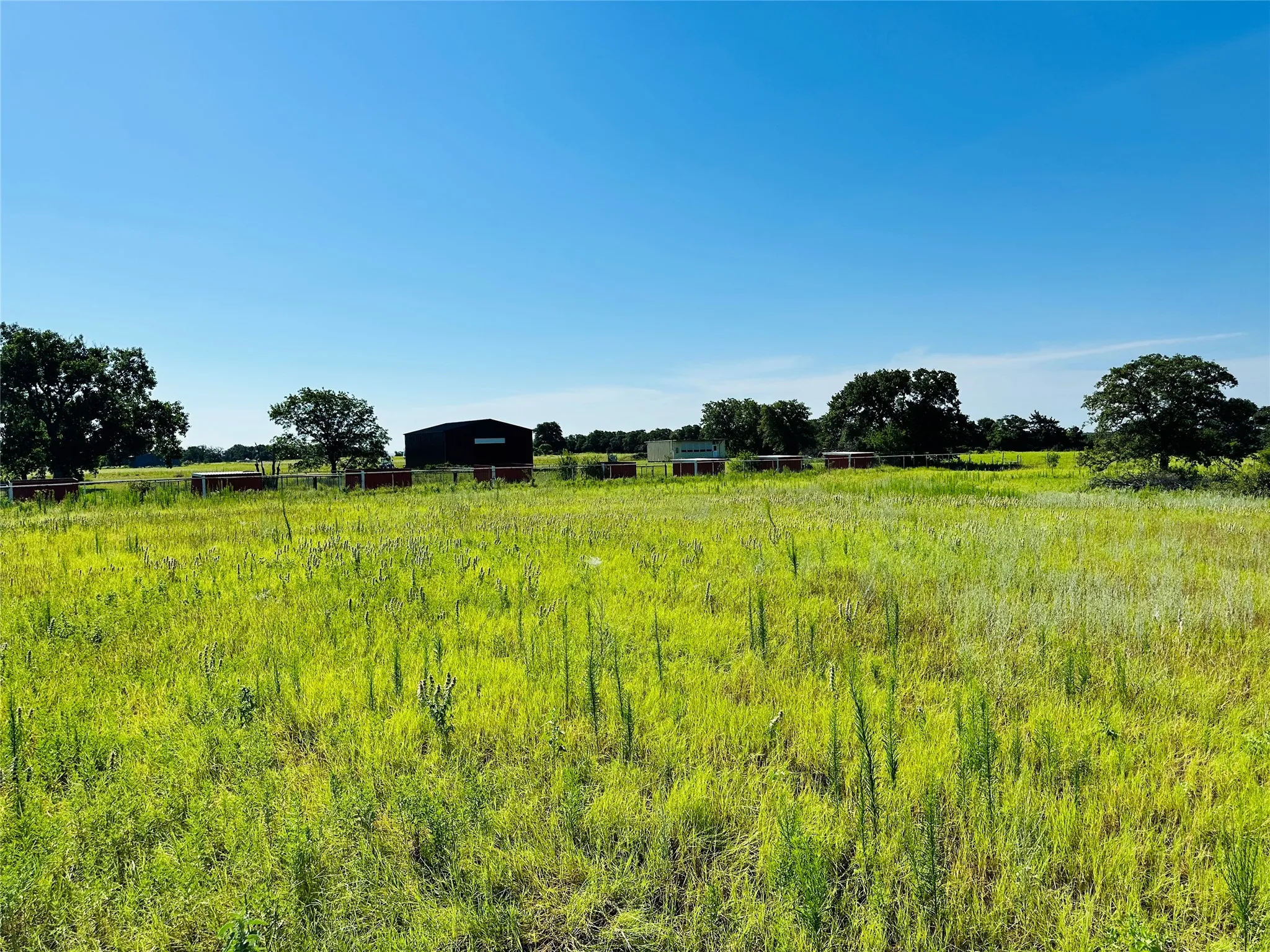 Improved Land For Sale in Callahan County , 12817 State Highway 36 E, Cross Plains, Texas 76443, 0, 0, Garage spaces, 0 Sqft, built in 2025, mls#21322830, Real Estate Agent in Cross Plains, Homes For Sale in Callahan county, Homes For Sale in Cross Plains, Realtor in Cross Plains Texas, Real Estate Brokerage Independent Realty Texas, Luminita Cordes Realtor