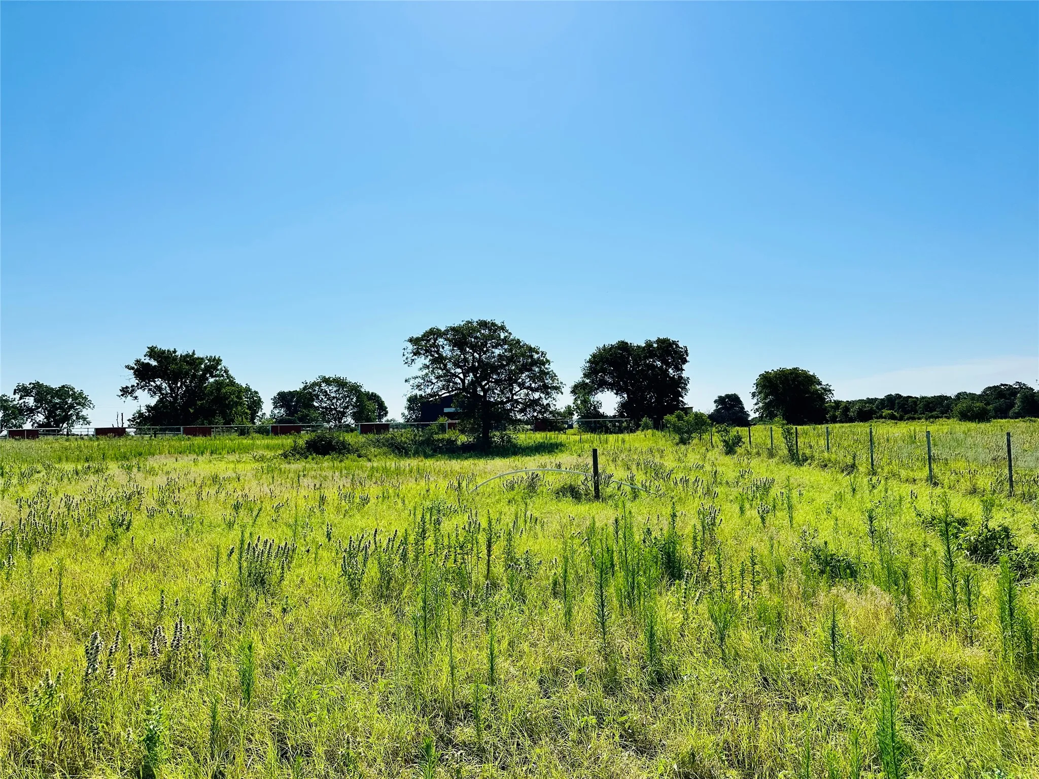 Improved Land For Sale in Callahan County , 12817 State Highway 36 E, Cross Plains, Texas 76443, 0, 0, Garage spaces, 0 Sqft, built in 2025, mls#21322830, Real Estate Agent in Cross Plains, Homes For Sale in Callahan county, Homes For Sale in Cross Plains, Realtor in Cross Plains Texas, Real Estate Brokerage Independent Realty Texas, Luminita Cordes Realtor