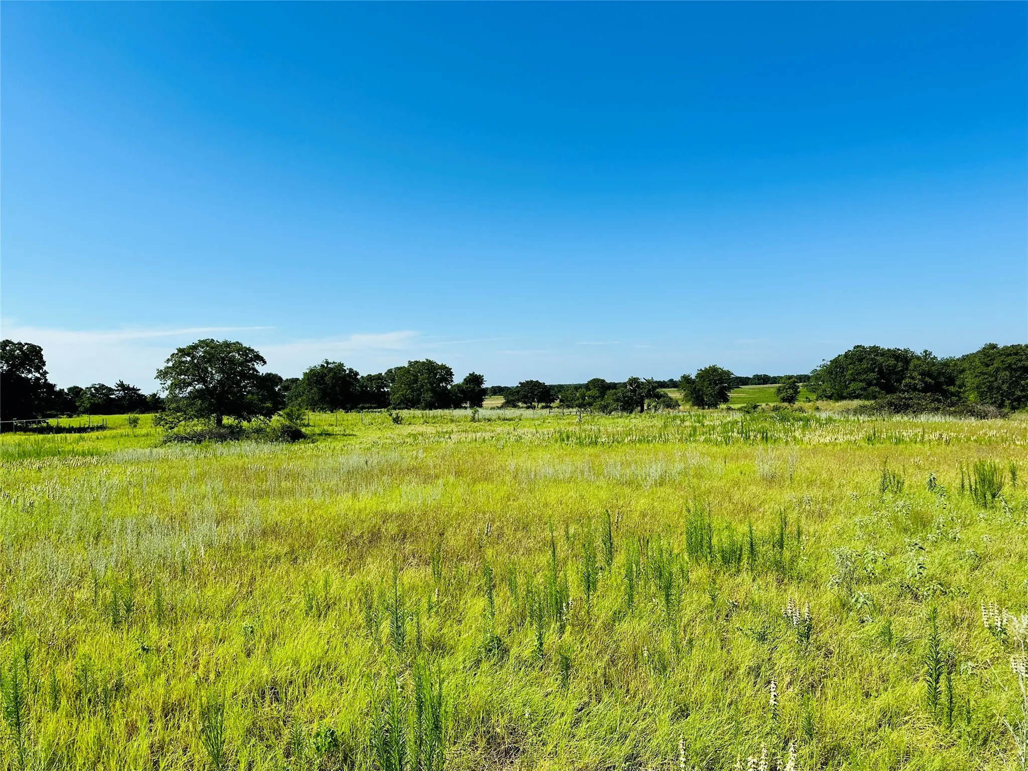 Improved Land For Sale in Callahan County , 12817 State Highway 36 E, Cross Plains, Texas 76443, 0, 0, Garage spaces, 0 Sqft, built in 2025, mls#21322830, Real Estate Agent in Cross Plains, Homes For Sale in Callahan county, Homes For Sale in Cross Plains, Realtor in Cross Plains Texas, Real Estate Brokerage Independent Realty Texas, Luminita Cordes Realtor