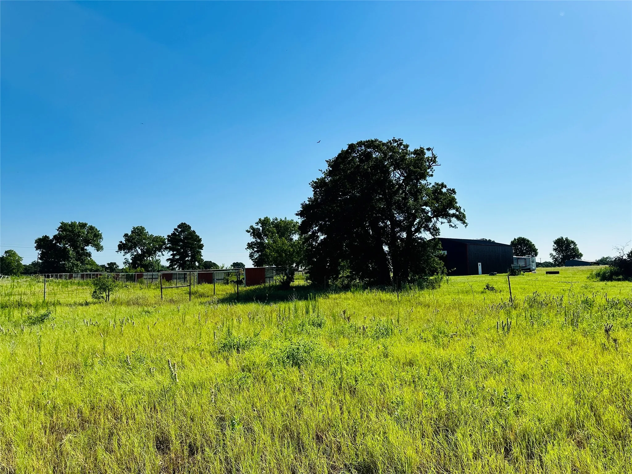Improved Land For Sale in Callahan County , 12817 State Highway 36 E, Cross Plains, Texas 76443, 0, 0, Garage spaces, 0 Sqft, built in 2025, mls#21322830, Real Estate Agent in Cross Plains, Homes For Sale in Callahan county, Homes For Sale in Cross Plains, Realtor in Cross Plains Texas, Real Estate Brokerage Independent Realty Texas, Luminita Cordes Realtor