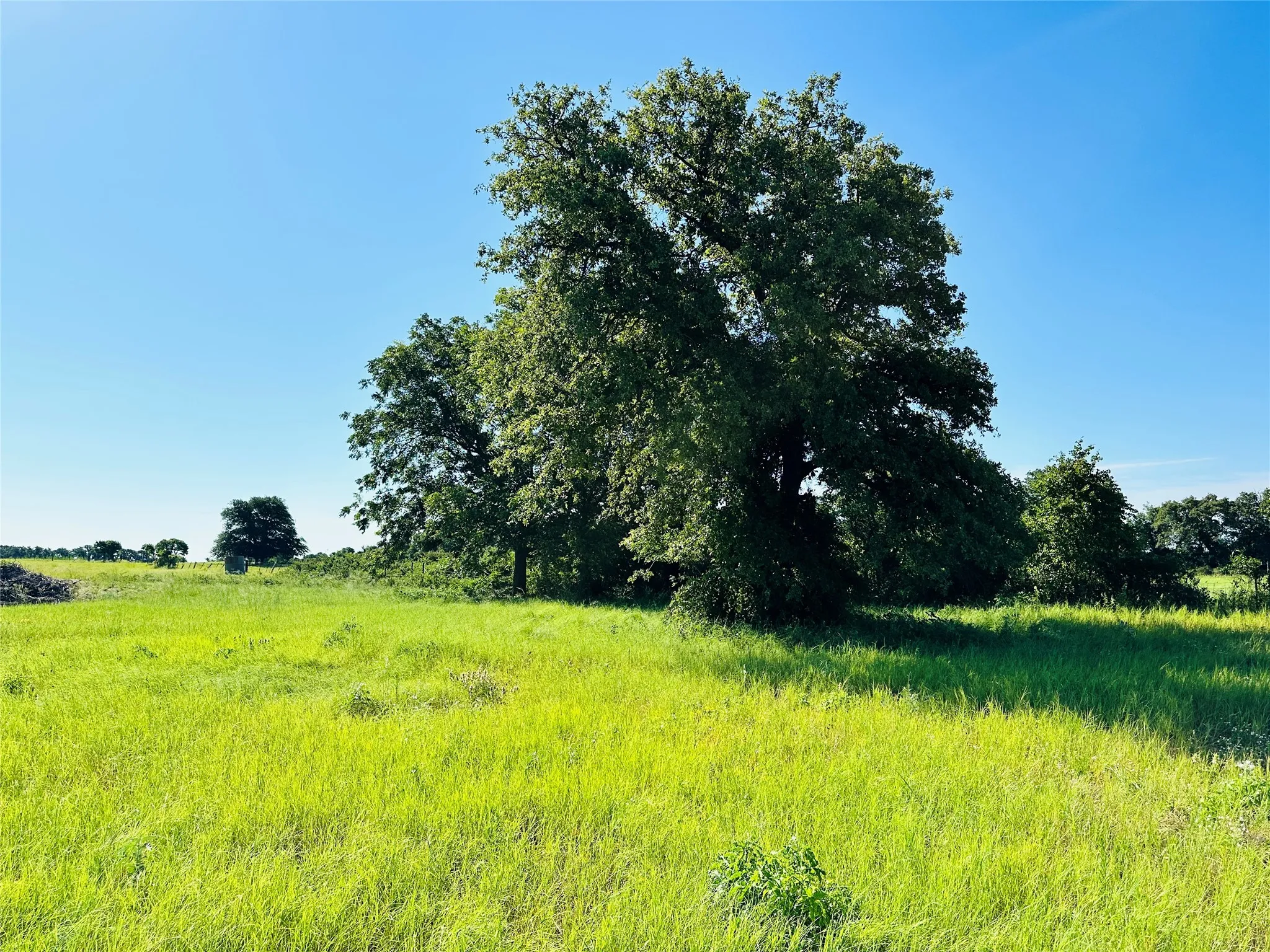 Improved Land For Sale in Callahan County , 12817 State Highway 36 E, Cross Plains, Texas 76443, 0, 0, Garage spaces, 0 Sqft, built in 2025, mls#21322830, Real Estate Agent in Cross Plains, Homes For Sale in Callahan county, Homes For Sale in Cross Plains, Realtor in Cross Plains Texas, Real Estate Brokerage Independent Realty Texas, Luminita Cordes Realtor
