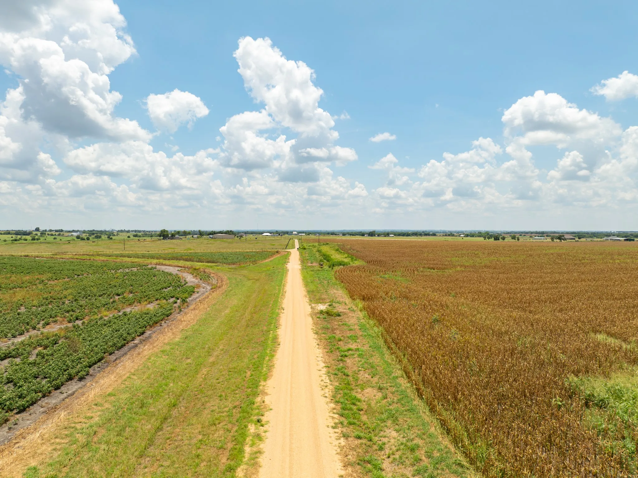 Ranch For Sale in Bell County , 000 Content School Road, Temple, Texas 76501, 0, 0, Garage spaces, 0 Sqft, built in 1972, Price $550,000, mls#21324130, Real Estate Agent in Temple, Homes For Sale in Bell county, Homes For Sale in Temple, Realtor in Temple Texas, Real Estate Brokerage Independent Realty Texas, Luminita Cordes Realtor