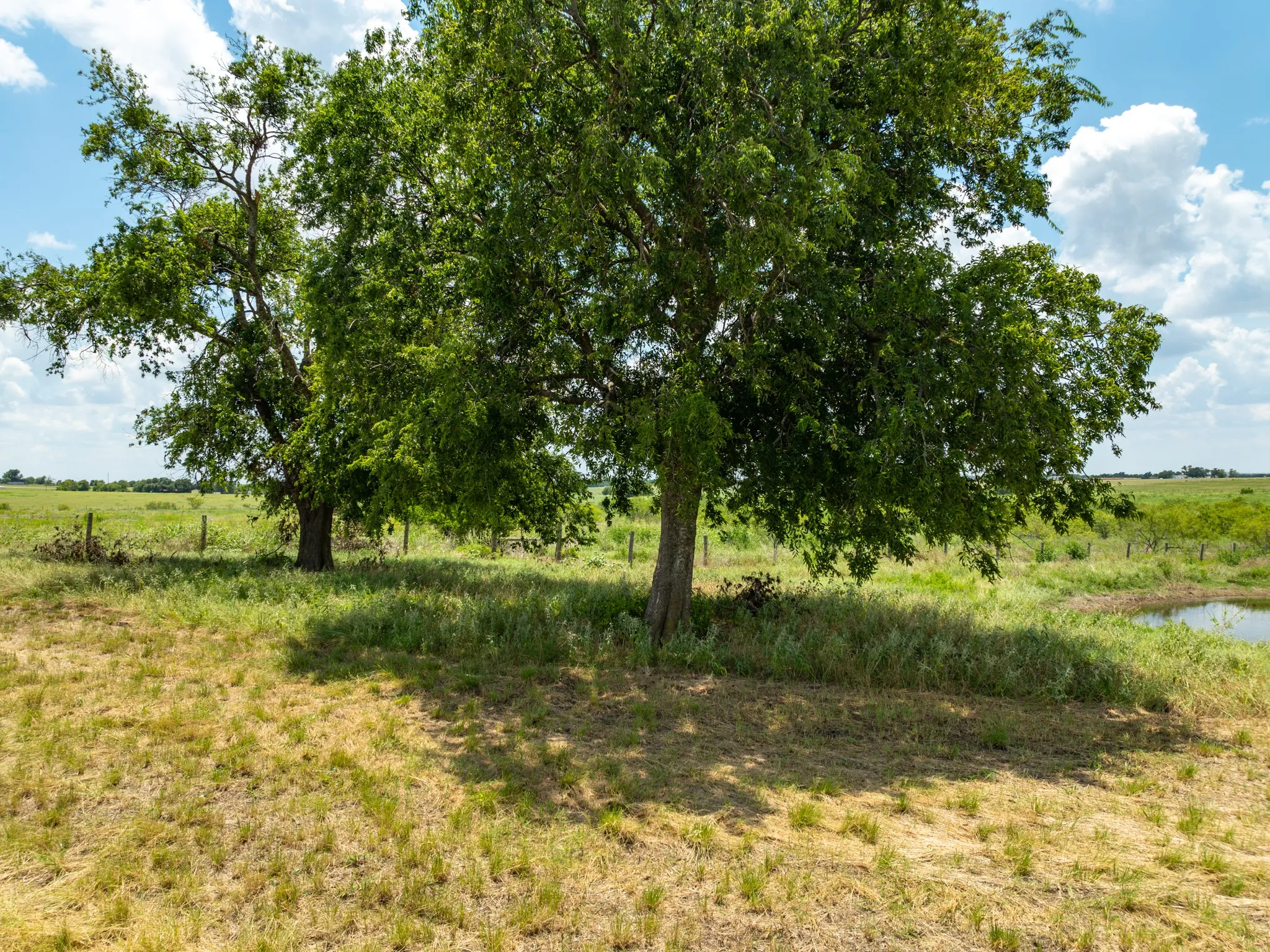 Ranch For Sale in Bell County , 000 Content School Road, Temple, Texas 76501, 0, 0, Garage spaces, 0 Sqft, built in 1972, Price $550,000, mls#21324130, Real Estate Agent in Temple, Homes For Sale in Bell county, Homes For Sale in Temple, Realtor in Temple Texas, Real Estate Brokerage Independent Realty Texas, Luminita Cordes Realtor