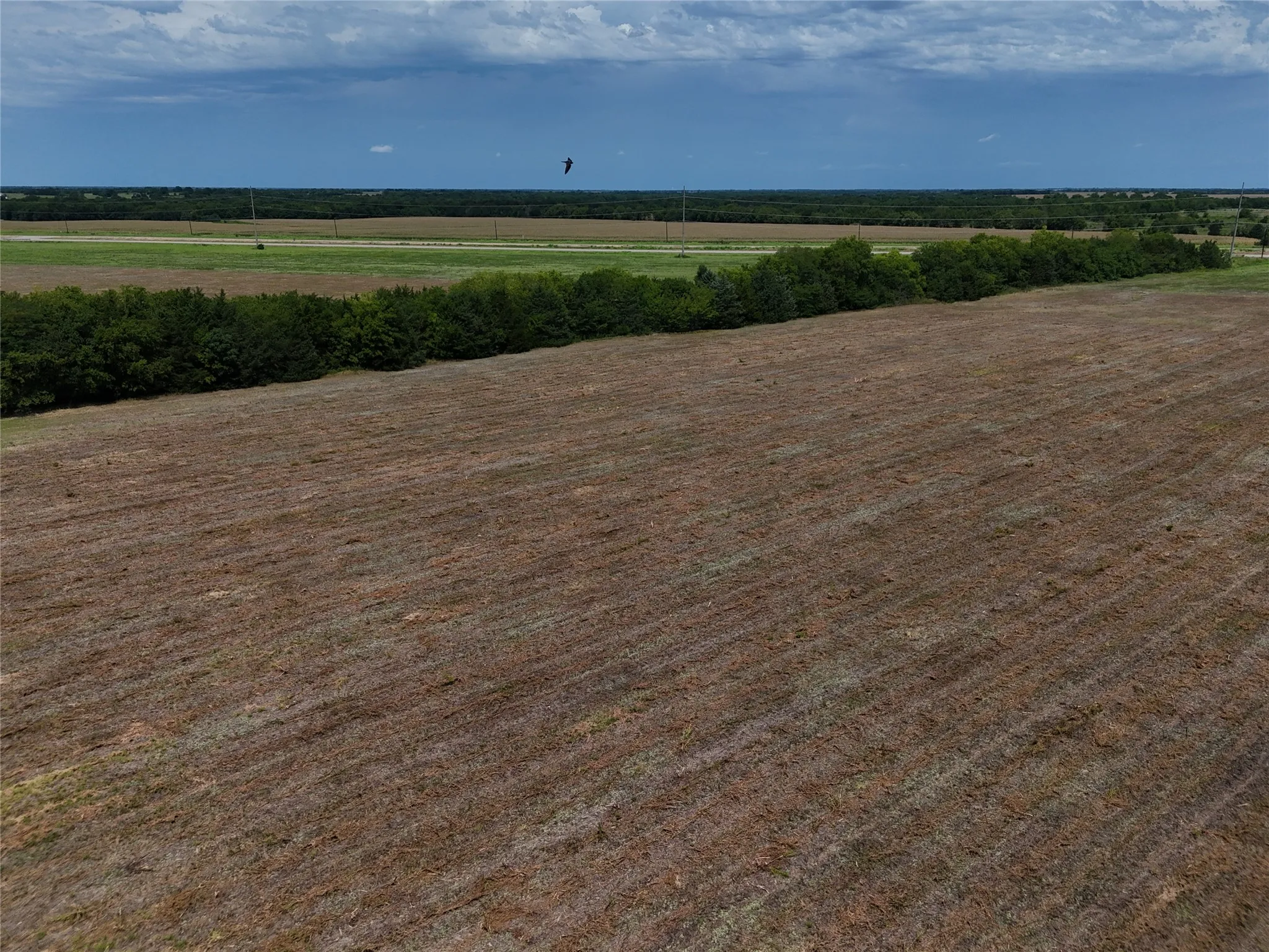 Unimproved Land For Sale in Delta County , 28500 W Kaufman, Cooper, Texas 75432, 0, 0, Garage spaces, 0 Sqft, built in 0, mls#21324394, Real Estate Agent in Cooper, Homes For Sale in Delta county, Homes For Sale in Cooper, Realtor in Cooper Texas, Real Estate Brokerage Independent Realty Texas, Luminita Cordes Realtor