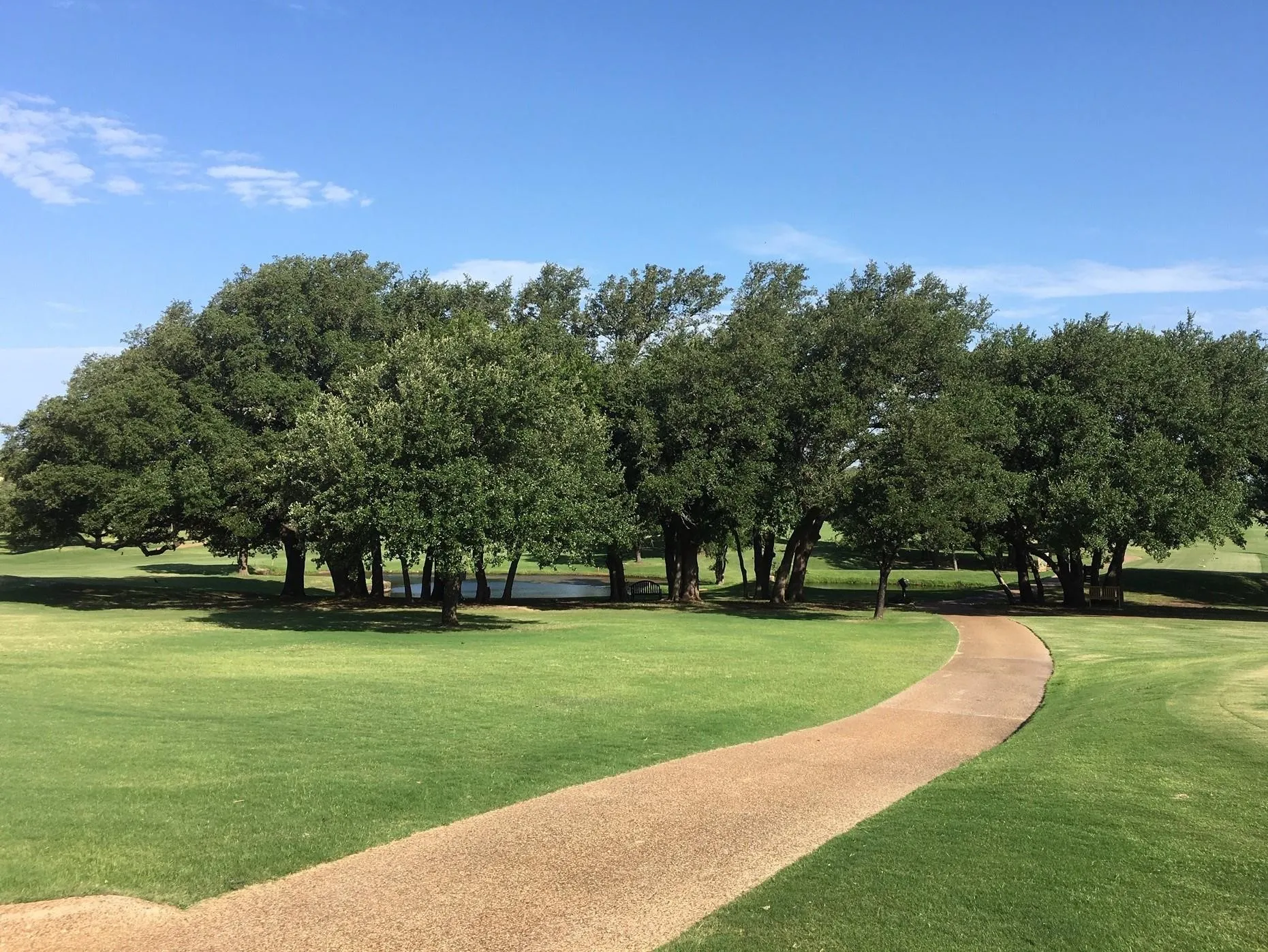 Expansive green lawn with a curved paved pathway