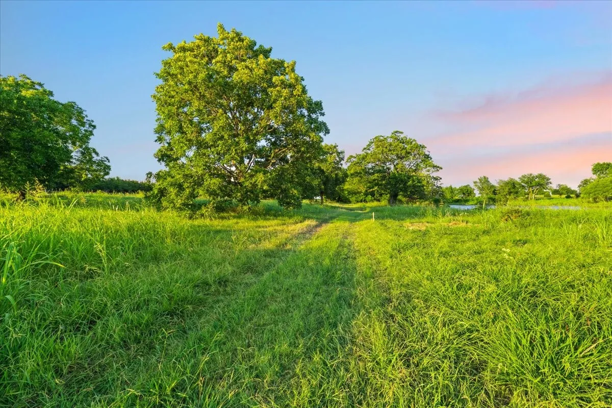 Expansive natural landscape featuring a winding dirt path, mature trees, and a distant body of water