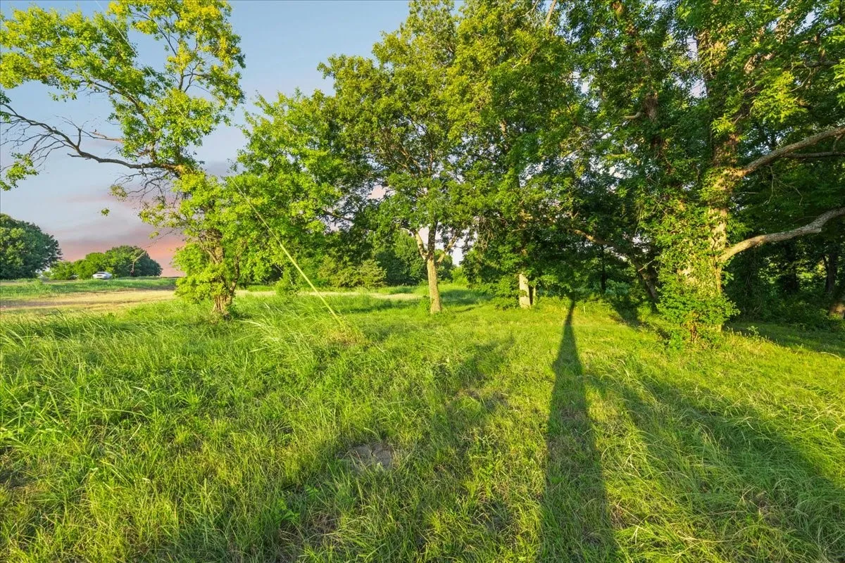 Expansive green space featuring natural grass, mature trees, and open fields beyond