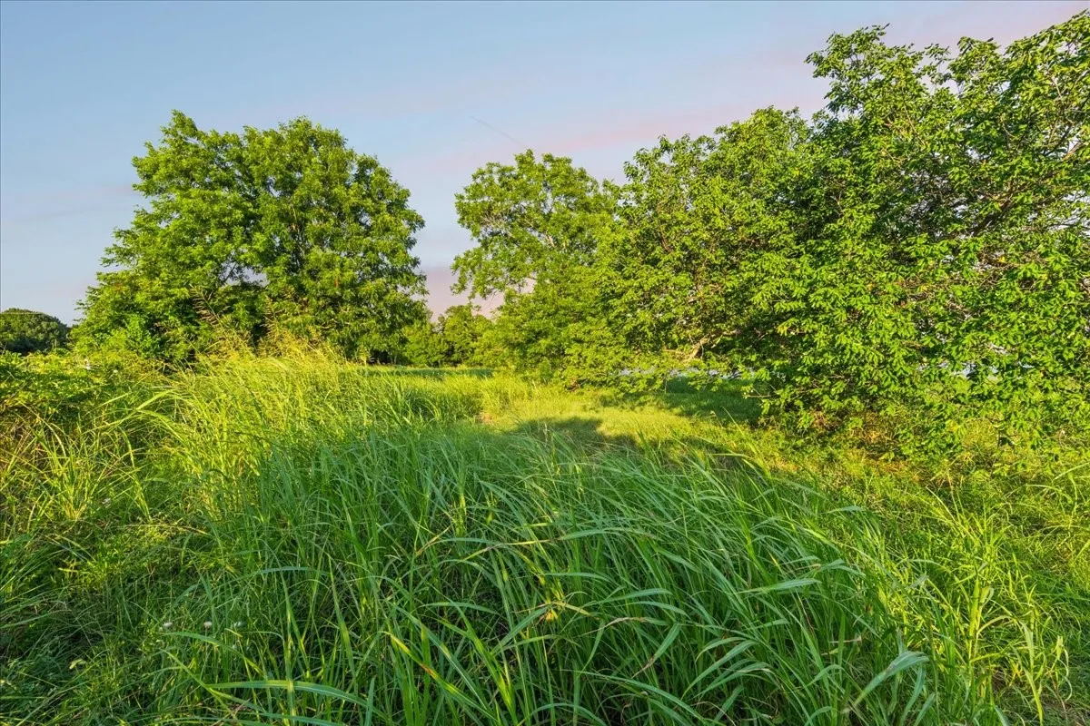 Expansive undeveloped land featuring mature trees and lush natural vegetation