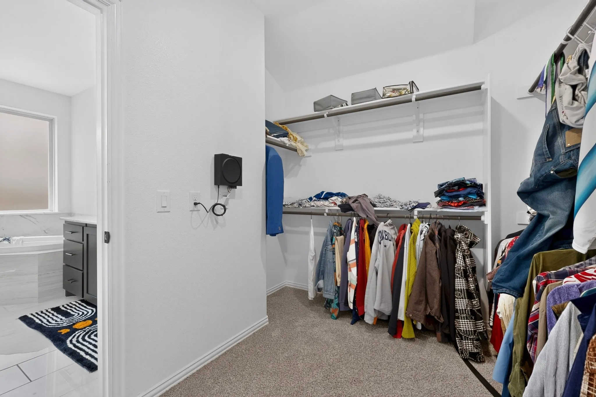 Walk-in closet with carpet flooring, white walls, and built-in shelving