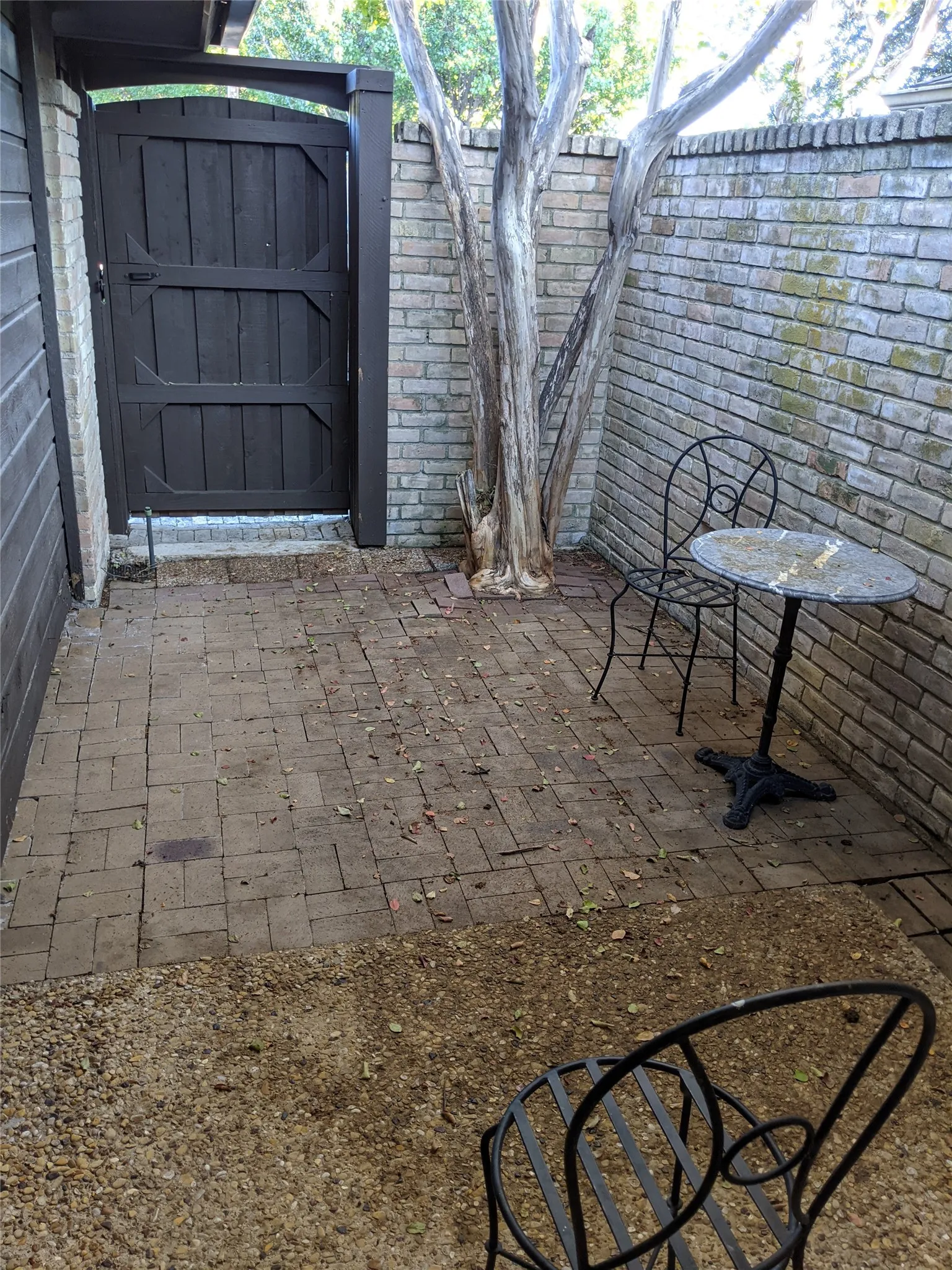 Yard and sitting area off kitchen