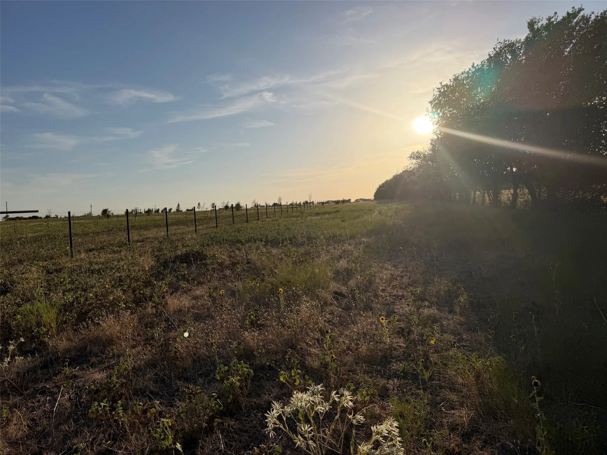 Unimproved Land For Sale in Denton County , TBD N Hickory Rd, Krum, Texas 76249, 0, 0, Garage spaces, 0 Sqft, built in 0, mls#21324511, Real Estate Agent in Krum, Homes For Sale in Denton county, Homes For Sale in Krum, Realtor in Krum Texas, Real Estate Brokerage Independent Realty Texas, Luminita Cordes Realtor