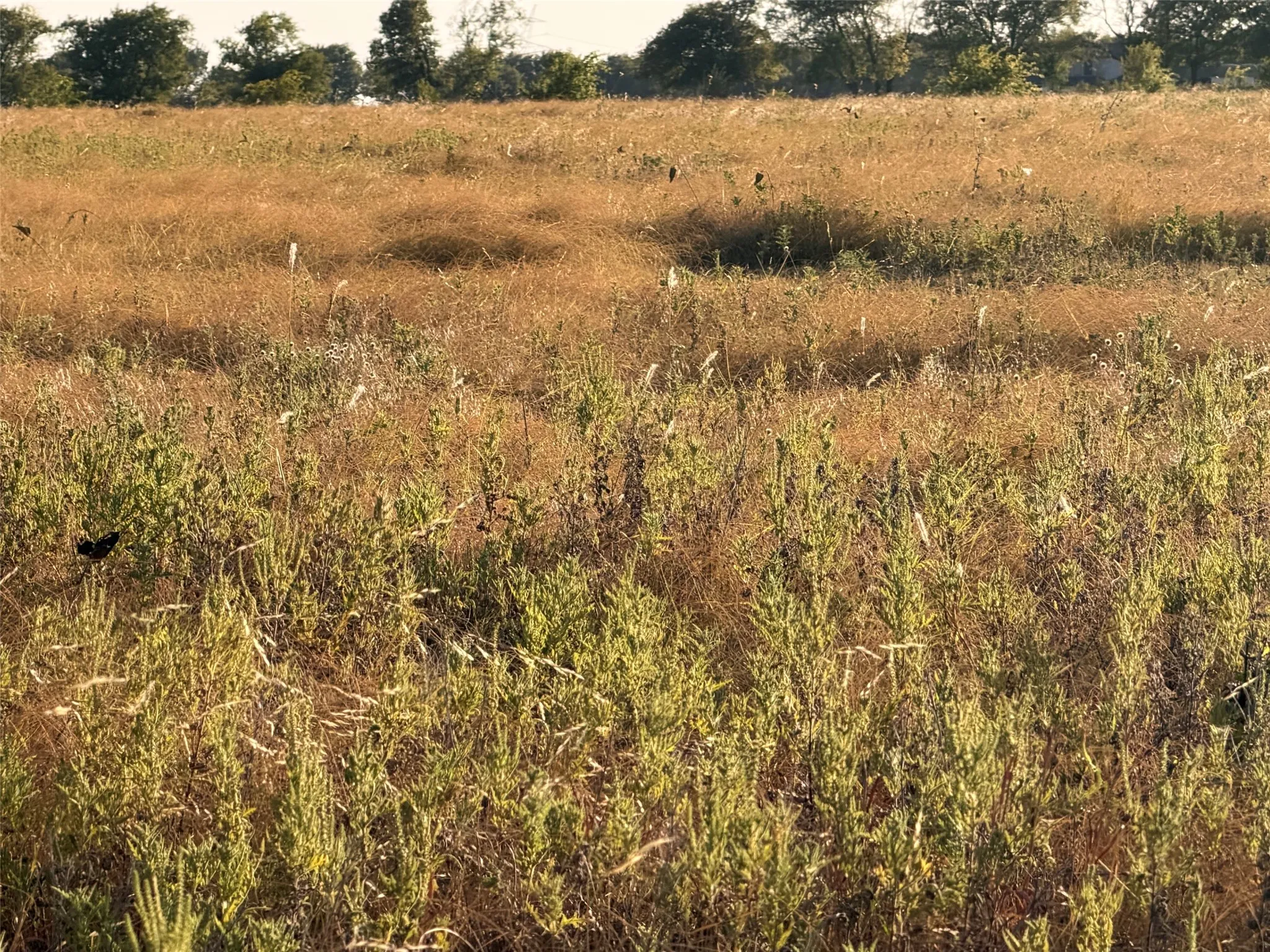 Unimproved Land For Sale in Denton County , TBD N Hickory Rd, Krum, Texas 76249, 0, 0, Garage spaces, 0 Sqft, built in 0, mls#21324511, Real Estate Agent in Krum, Homes For Sale in Denton county, Homes For Sale in Krum, Realtor in Krum Texas, Real Estate Brokerage Independent Realty Texas, Luminita Cordes Realtor