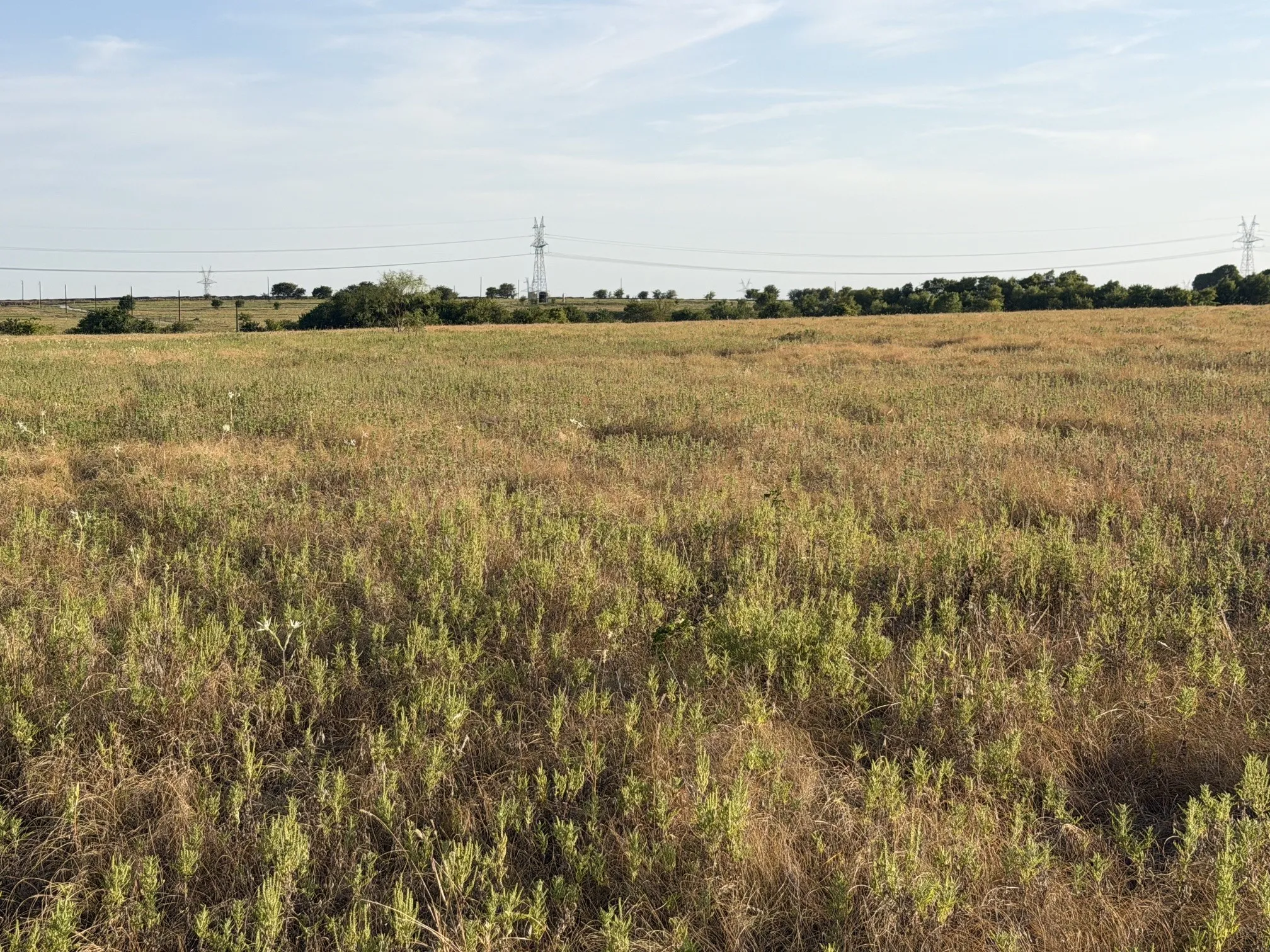 Unimproved Land For Sale in Denton County , TBD N Hickory Rd, Krum, Texas 76249, 0, 0, Garage spaces, 0 Sqft, built in 0, mls#21324511, Real Estate Agent in Krum, Homes For Sale in Denton county, Homes For Sale in Krum, Realtor in Krum Texas, Real Estate Brokerage Independent Realty Texas, Luminita Cordes Realtor