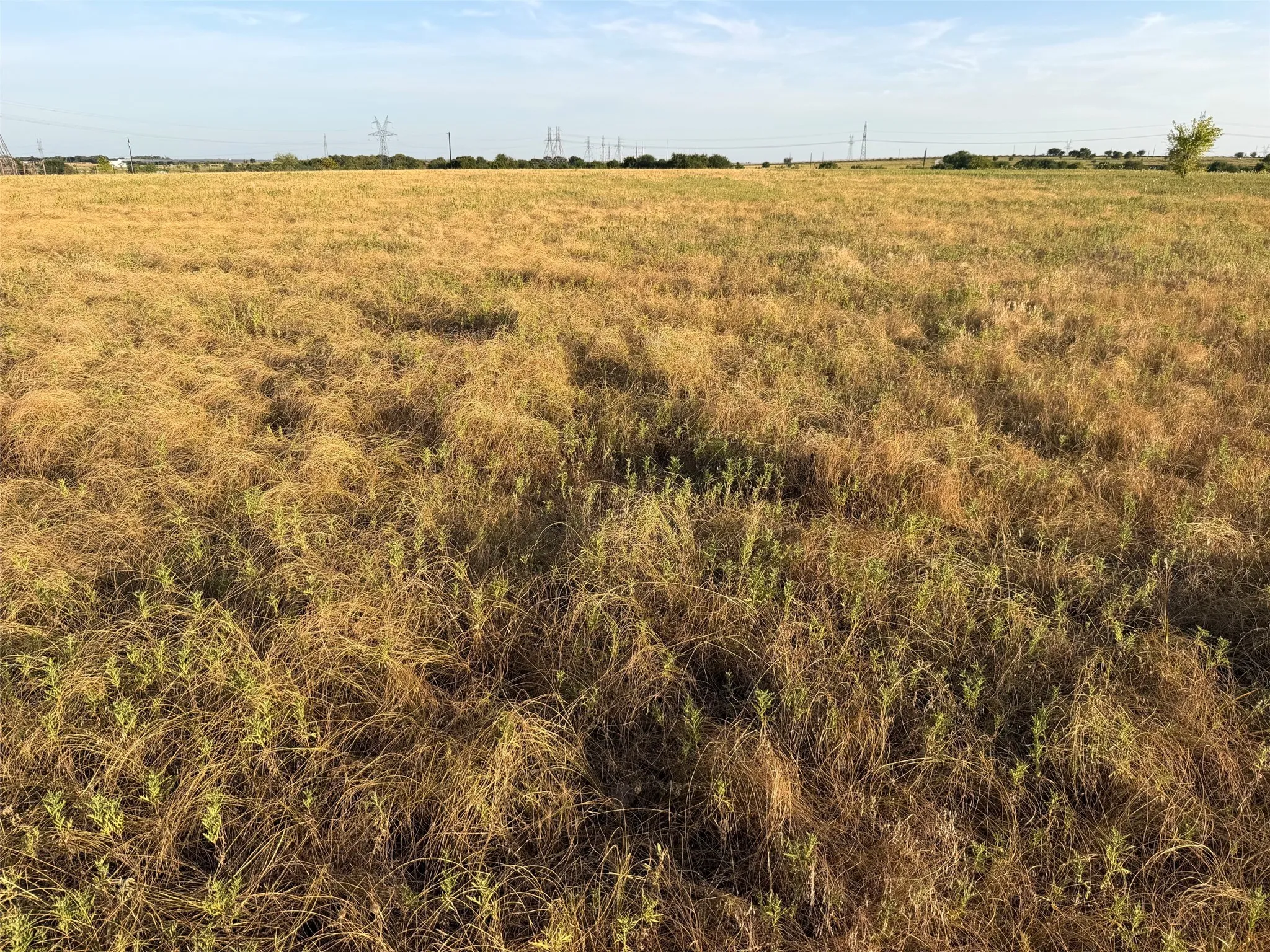 Unimproved Land For Sale in Denton County , TBD N Hickory Rd, Krum, Texas 76249, 0, 0, Garage spaces, 0 Sqft, built in 0, mls#21324511, Real Estate Agent in Krum, Homes For Sale in Denton county, Homes For Sale in Krum, Realtor in Krum Texas, Real Estate Brokerage Independent Realty Texas, Luminita Cordes Realtor