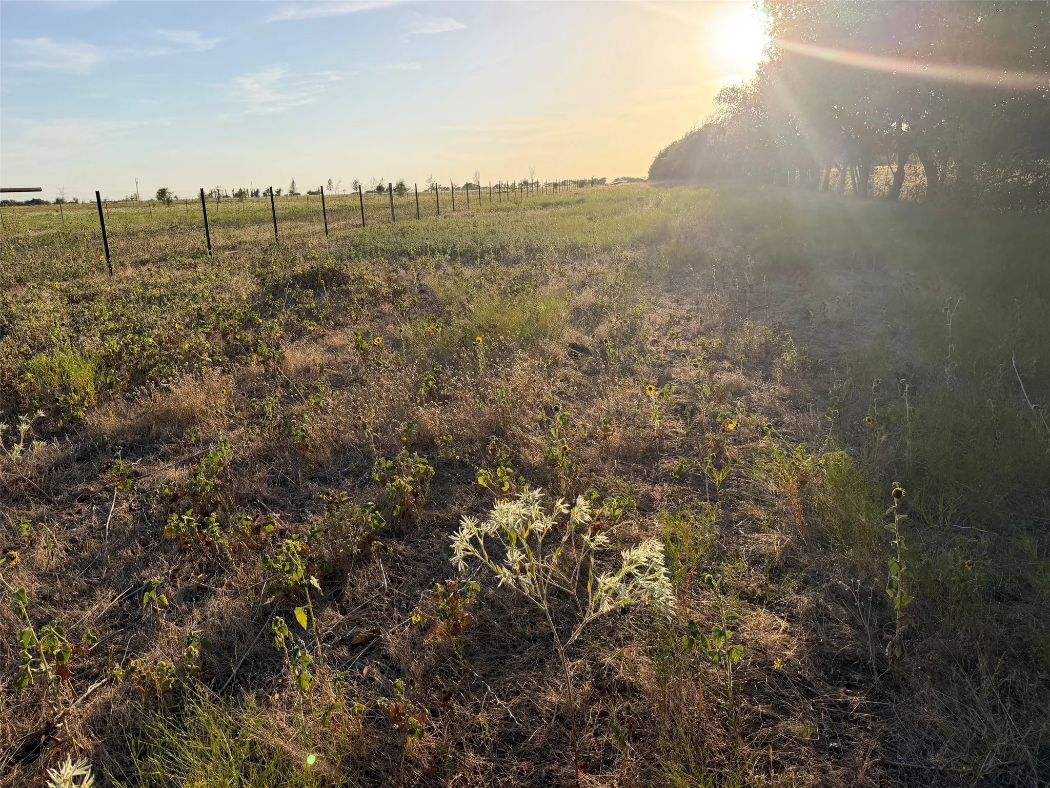 Unimproved Land For Sale in Denton County , TBD N Hickory Rd, Krum, Texas 76249, 0, 0, Garage spaces, 0 Sqft, built in 0, mls#21324511, Real Estate Agent in Krum, Homes For Sale in Denton county, Homes For Sale in Krum, Realtor in Krum Texas, Real Estate Brokerage Independent Realty Texas, Luminita Cordes Realtor