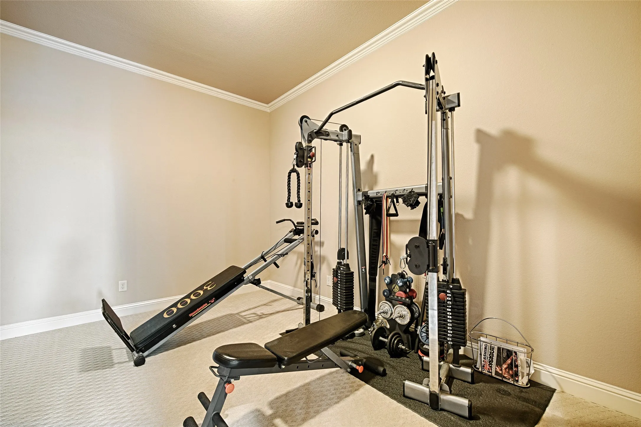 Versatile bonus room featuring light neutral wall paint, white crown molding, white baseboards, and patterned carpet flooring