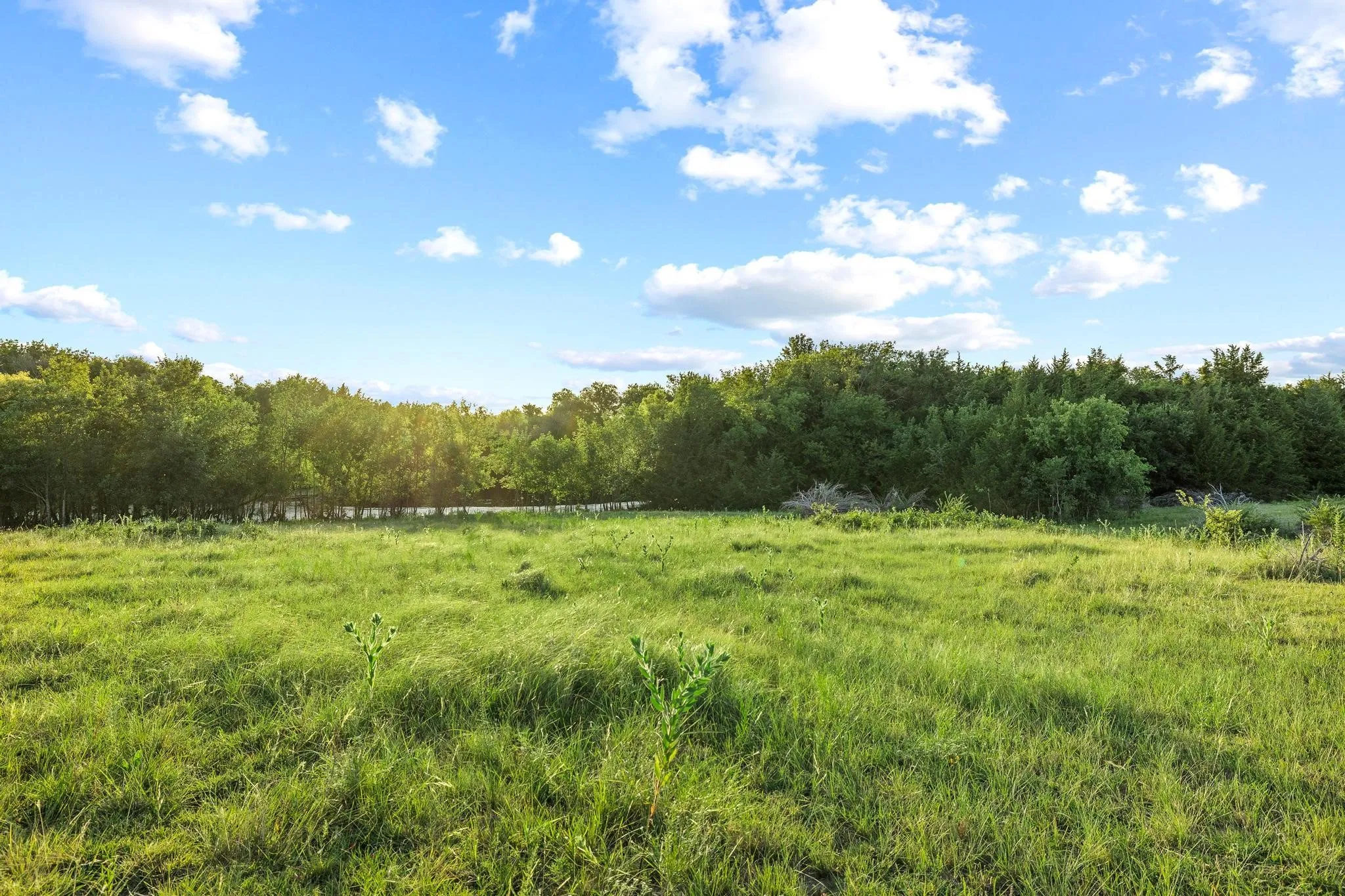 Unimproved Land For Sale in Grayson County , TBD Bethany Road, Sherman, Texas 75090, 0, 0, Garage spaces, 0 Sqft, built in 0, mls#21324544, Real Estate Agent in Sherman, Homes For Sale in Grayson county, Homes For Sale in Sherman, Realtor in Sherman Texas, Real Estate Brokerage Independent Realty Texas, Luminita Cordes Realtor