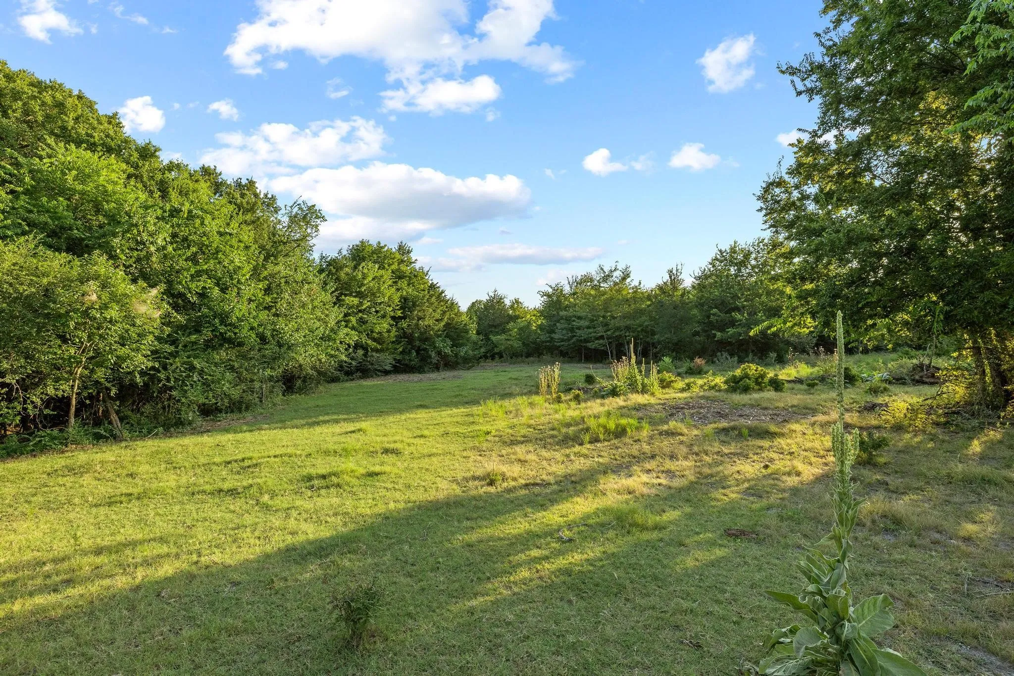 Unimproved Land For Sale in Grayson County , TBD Bethany Road, Sherman, Texas 75090, 0, 0, Garage spaces, 0 Sqft, built in 0, mls#21324544, Real Estate Agent in Sherman, Homes For Sale in Grayson county, Homes For Sale in Sherman, Realtor in Sherman Texas, Real Estate Brokerage Independent Realty Texas, Luminita Cordes Realtor