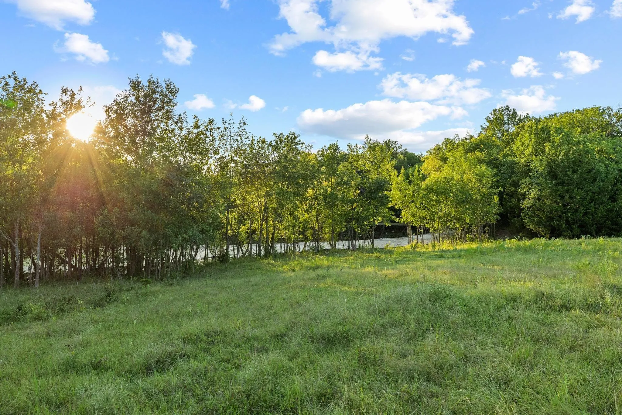 Unimproved Land For Sale in Grayson County , TBD Bethany Road, Sherman, Texas 75090, 0, 0, Garage spaces, 0 Sqft, built in 0, mls#21324544, Real Estate Agent in Sherman, Homes For Sale in Grayson county, Homes For Sale in Sherman, Realtor in Sherman Texas, Real Estate Brokerage Independent Realty Texas, Luminita Cordes Realtor