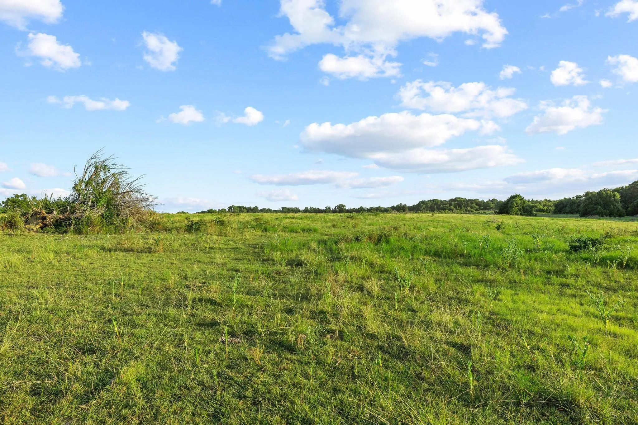 Unimproved Land For Sale in Grayson County , TBD Bethany Road, Sherman, Texas 75090, 0, 0, Garage spaces, 0 Sqft, built in 0, mls#21324544, Real Estate Agent in Sherman, Homes For Sale in Grayson county, Homes For Sale in Sherman, Realtor in Sherman Texas, Real Estate Brokerage Independent Realty Texas, Luminita Cordes Realtor
