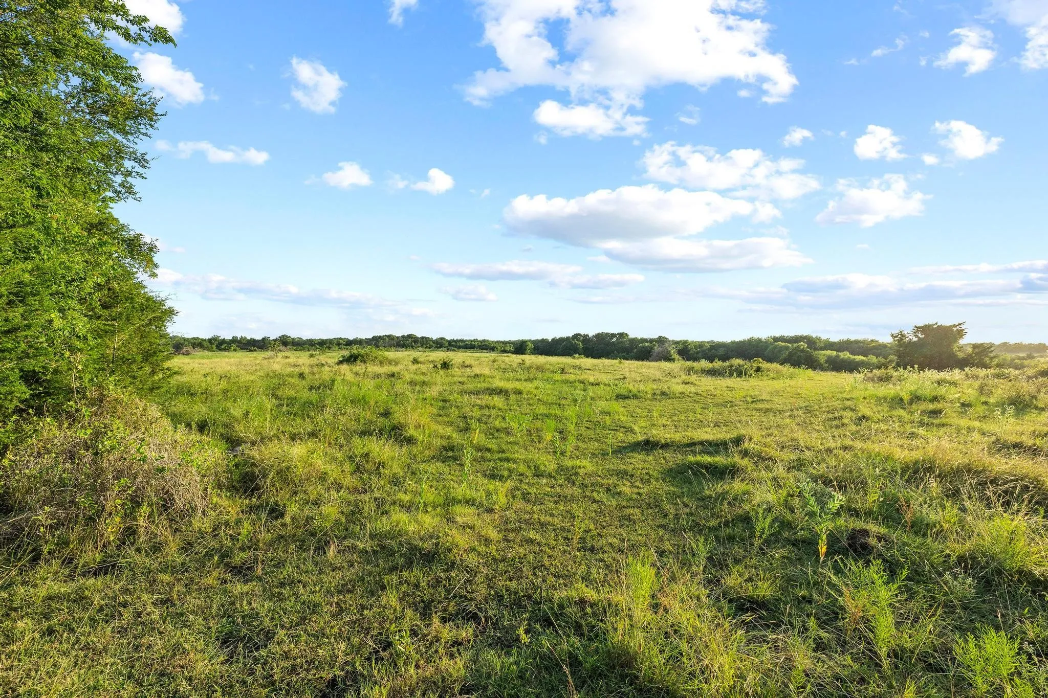 Unimproved Land For Sale in Grayson County , TBD Bethany Road, Sherman, Texas 75090, 0, 0, Garage spaces, 0 Sqft, built in 0, mls#21324544, Real Estate Agent in Sherman, Homes For Sale in Grayson county, Homes For Sale in Sherman, Realtor in Sherman Texas, Real Estate Brokerage Independent Realty Texas, Luminita Cordes Realtor