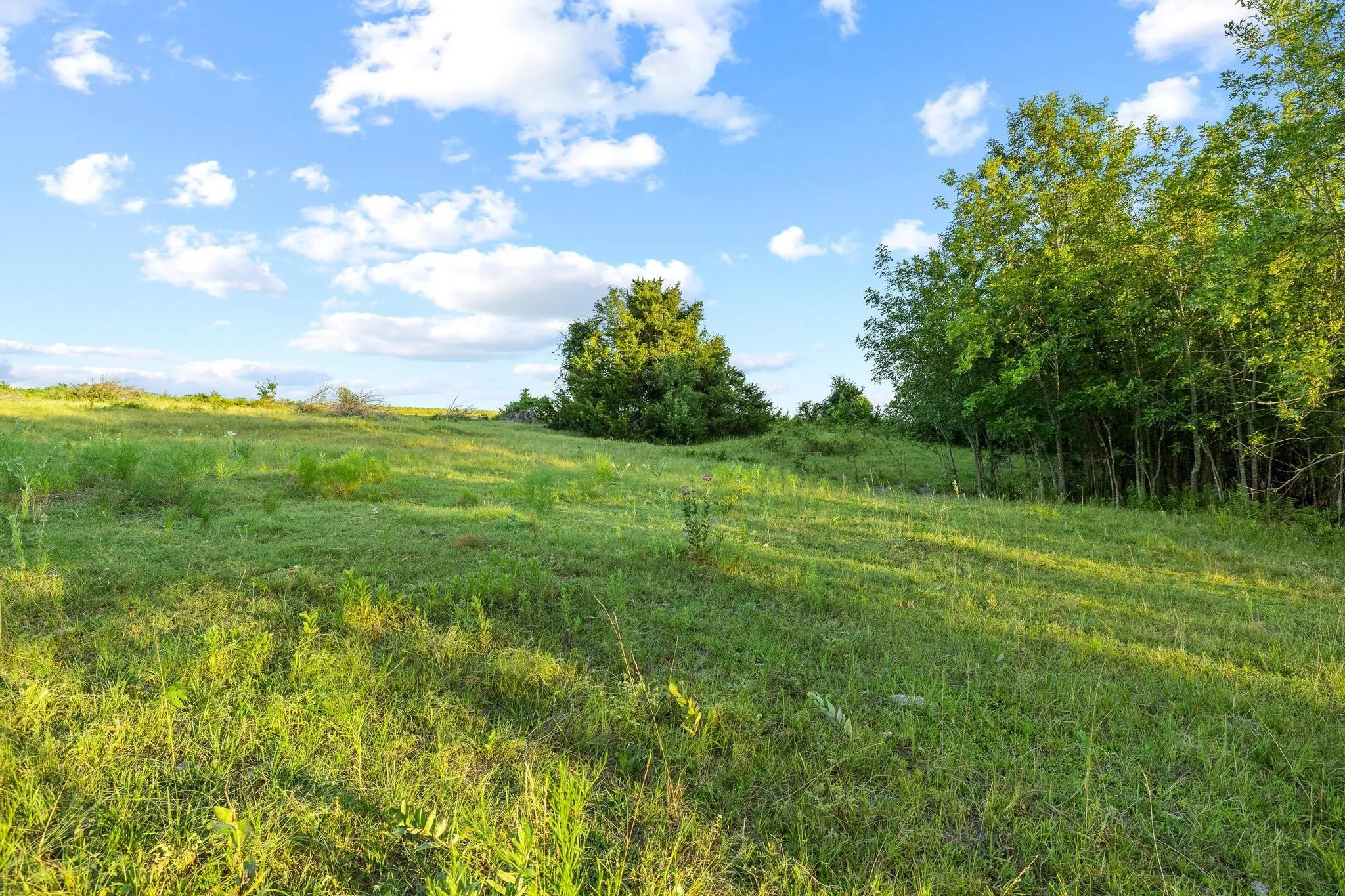 Unimproved Land For Sale in Grayson County , TBD Bethany Road, Sherman, Texas 75090, 0, 0, Garage spaces, 0 Sqft, built in 0, mls#21324544, Real Estate Agent in Sherman, Homes For Sale in Grayson county, Homes For Sale in Sherman, Realtor in Sherman Texas, Real Estate Brokerage Independent Realty Texas, Luminita Cordes Realtor