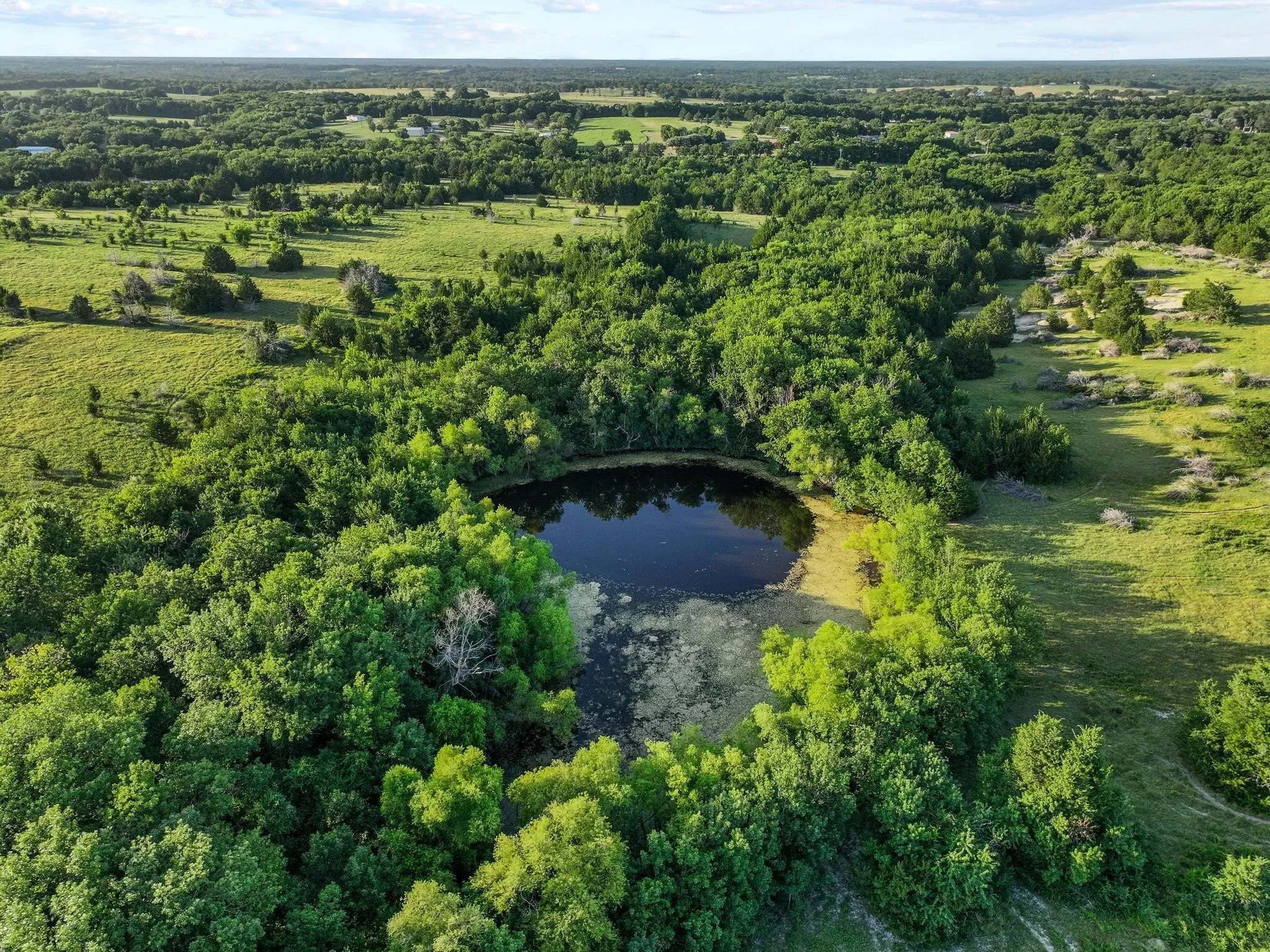 Unimproved Land For Sale in Grayson County , TBD Bethany Road, Sherman, Texas 75090, 0, 0, Garage spaces, 0 Sqft, built in 0, mls#21324544, Real Estate Agent in Sherman, Homes For Sale in Grayson county, Homes For Sale in Sherman, Realtor in Sherman Texas, Real Estate Brokerage Independent Realty Texas, Luminita Cordes Realtor