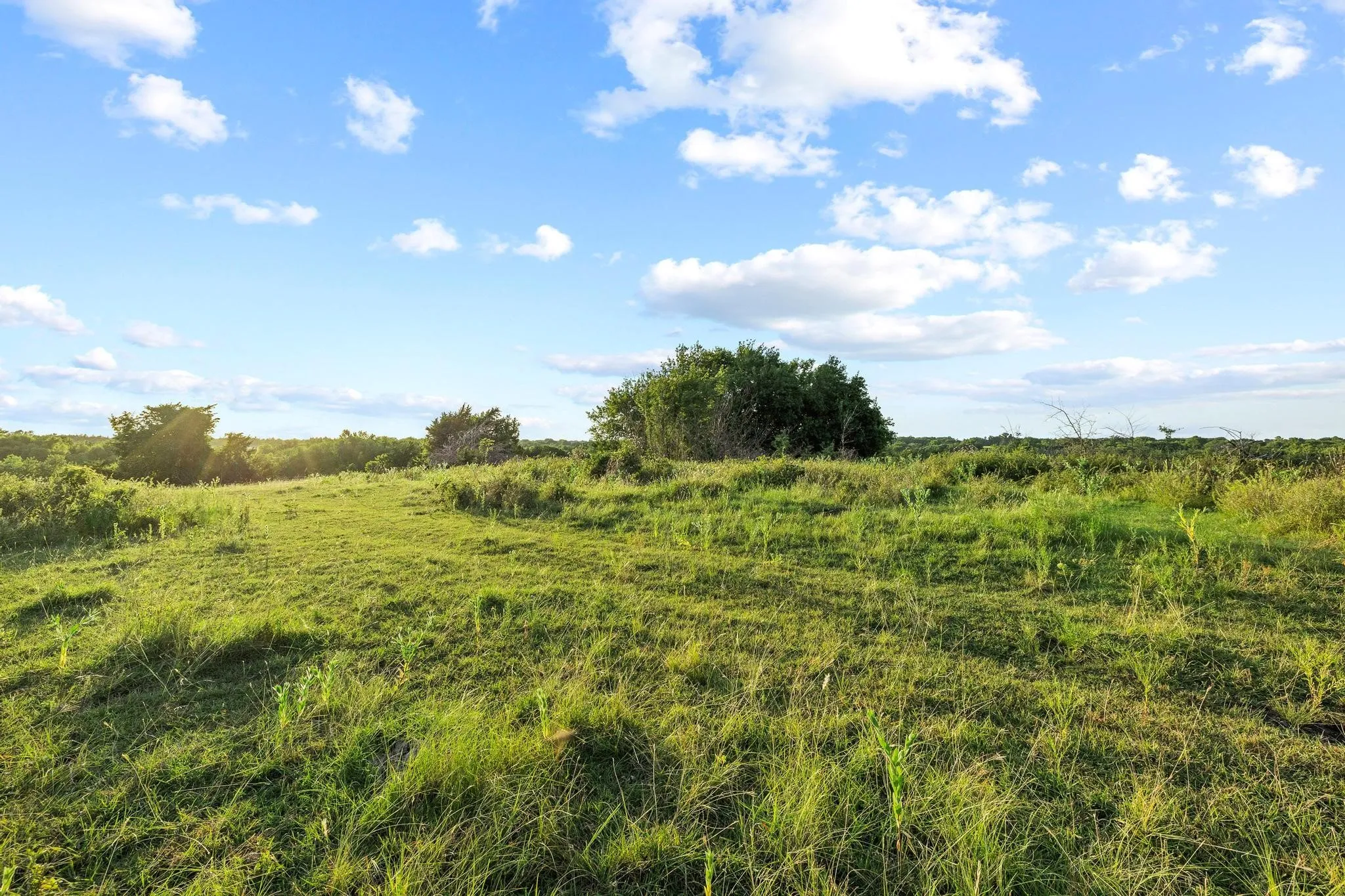 Unimproved Land For Sale in Grayson County , TBD Bethany Road, Sherman, Texas 75090, 0, 0, Garage spaces, 0 Sqft, built in 0, mls#21324544, Real Estate Agent in Sherman, Homes For Sale in Grayson county, Homes For Sale in Sherman, Realtor in Sherman Texas, Real Estate Brokerage Independent Realty Texas, Luminita Cordes Realtor