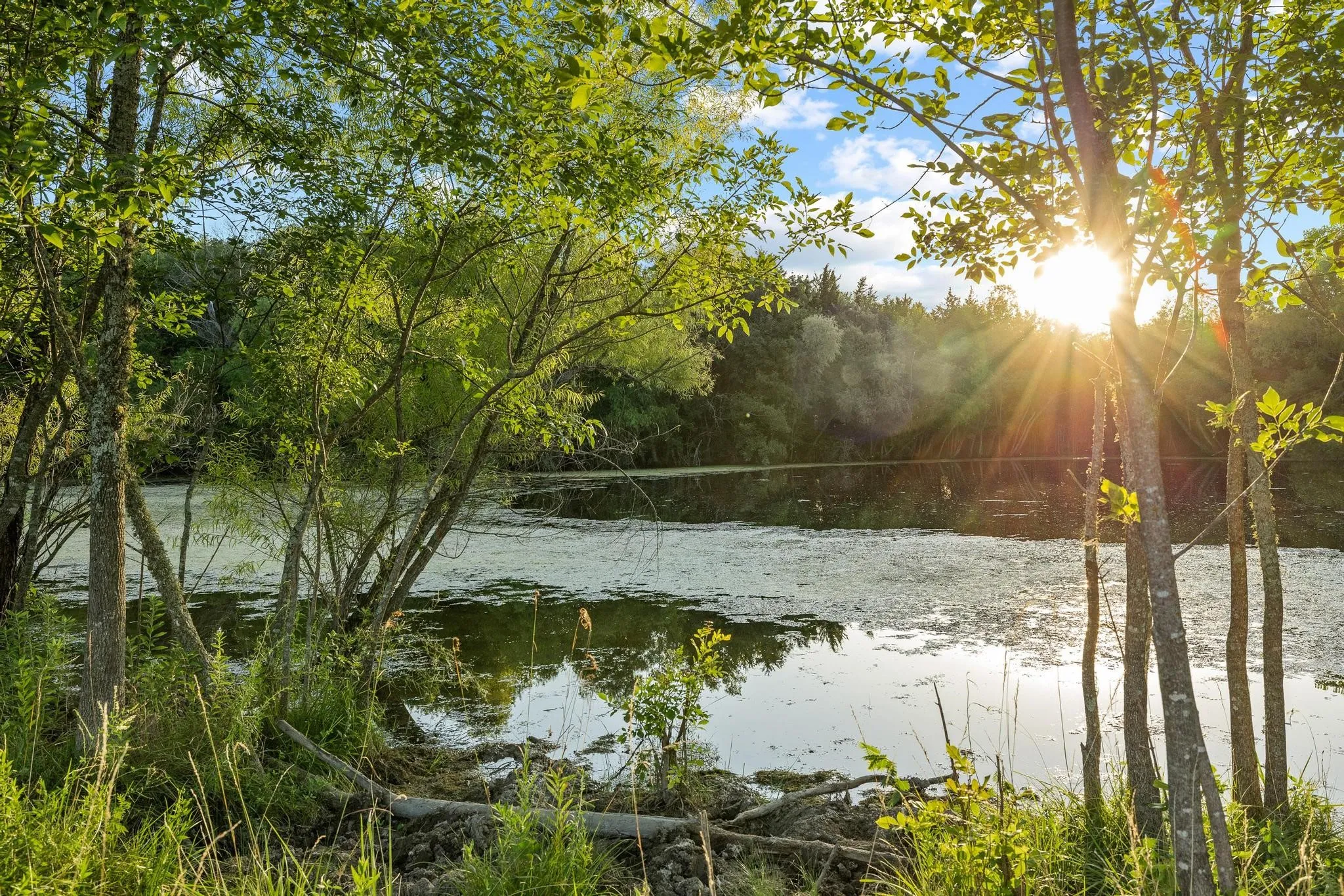 Large spring-fed pond