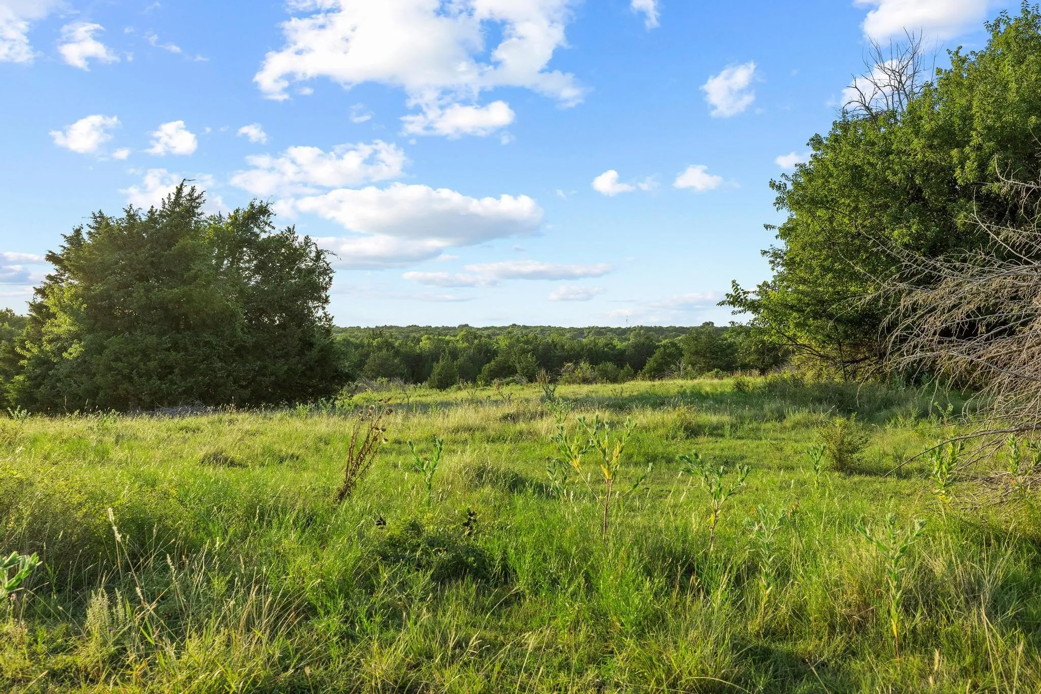 Unimproved Land For Sale in Grayson County , TBD Bethany Road, Sherman, Texas 75090, 0, 0, Garage spaces, 0 Sqft, built in 0, mls#21324544, Real Estate Agent in Sherman, Homes For Sale in Grayson county, Homes For Sale in Sherman, Realtor in Sherman Texas, Real Estate Brokerage Independent Realty Texas, Luminita Cordes Realtor