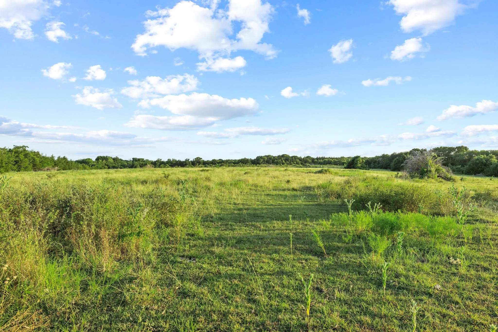 Unimproved Land For Sale in Grayson County , TBD Bethany Road, Sherman, Texas 75090, 0, 0, Garage spaces, 0 Sqft, built in 0, mls#21324544, Real Estate Agent in Sherman, Homes For Sale in Grayson county, Homes For Sale in Sherman, Realtor in Sherman Texas, Real Estate Brokerage Independent Realty Texas, Luminita Cordes Realtor