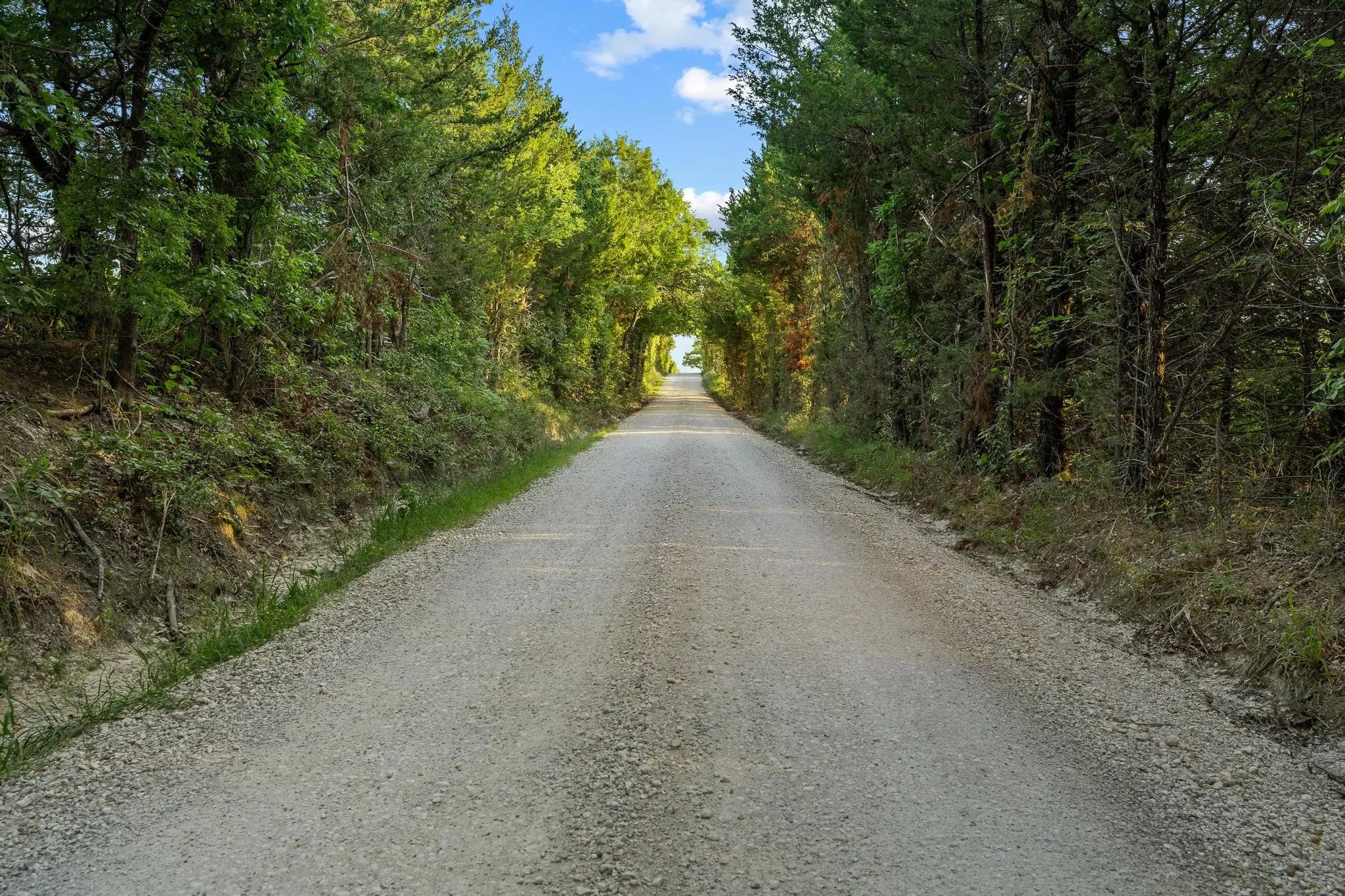 Unimproved Land For Sale in Grayson County , TBD Bethany Road, Sherman, Texas 75090, 0, 0, Garage spaces, 0 Sqft, built in 0, mls#21324544, Real Estate Agent in Sherman, Homes For Sale in Grayson county, Homes For Sale in Sherman, Realtor in Sherman Texas, Real Estate Brokerage Independent Realty Texas, Luminita Cordes Realtor