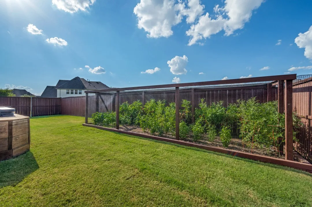 Expansive backyard featuring a lush lawn, a built-in garden bed with a protective wire enclosure, and a wood-finish outdoor storage unit