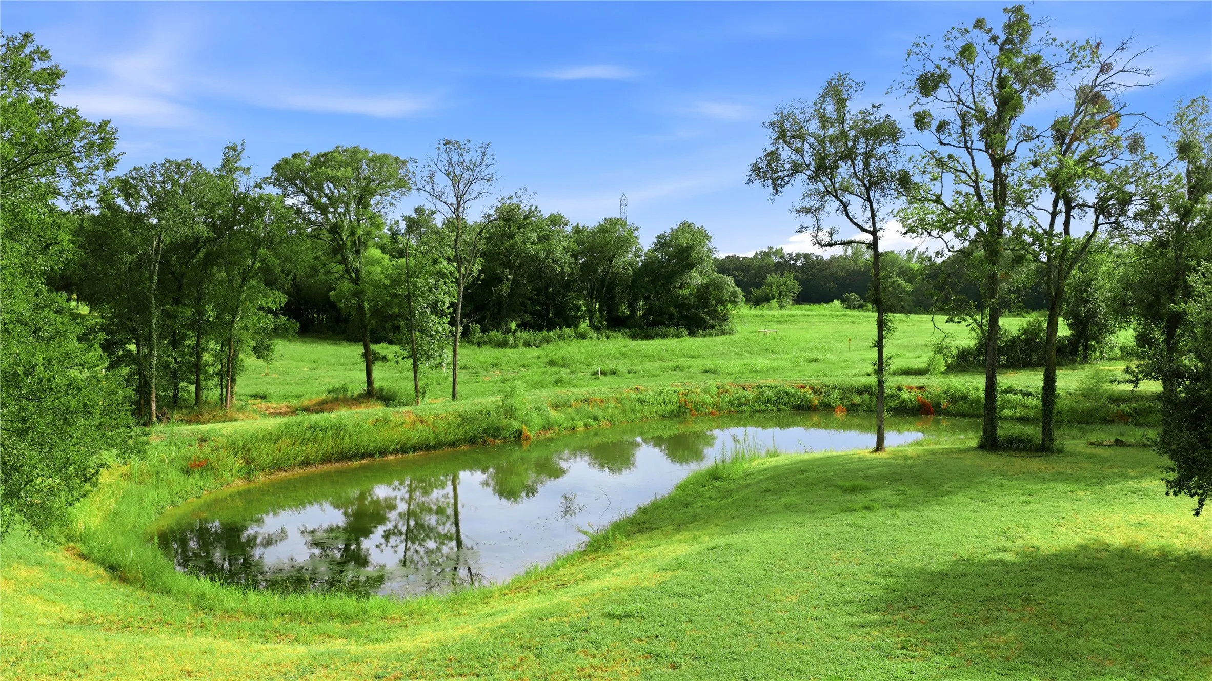 One of the ponds