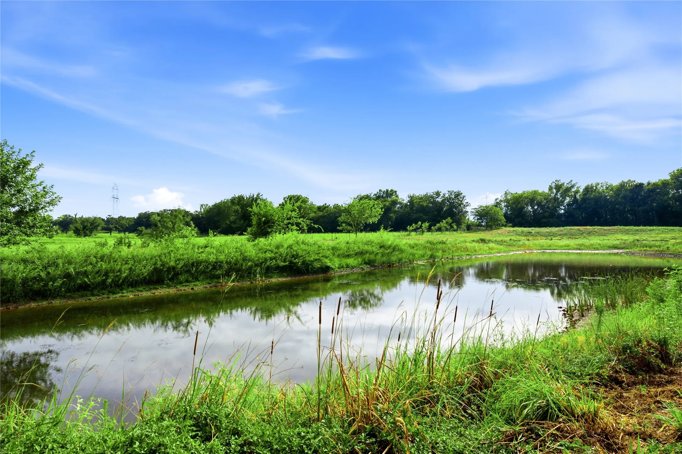 Beautiful view of 1 of the ponds